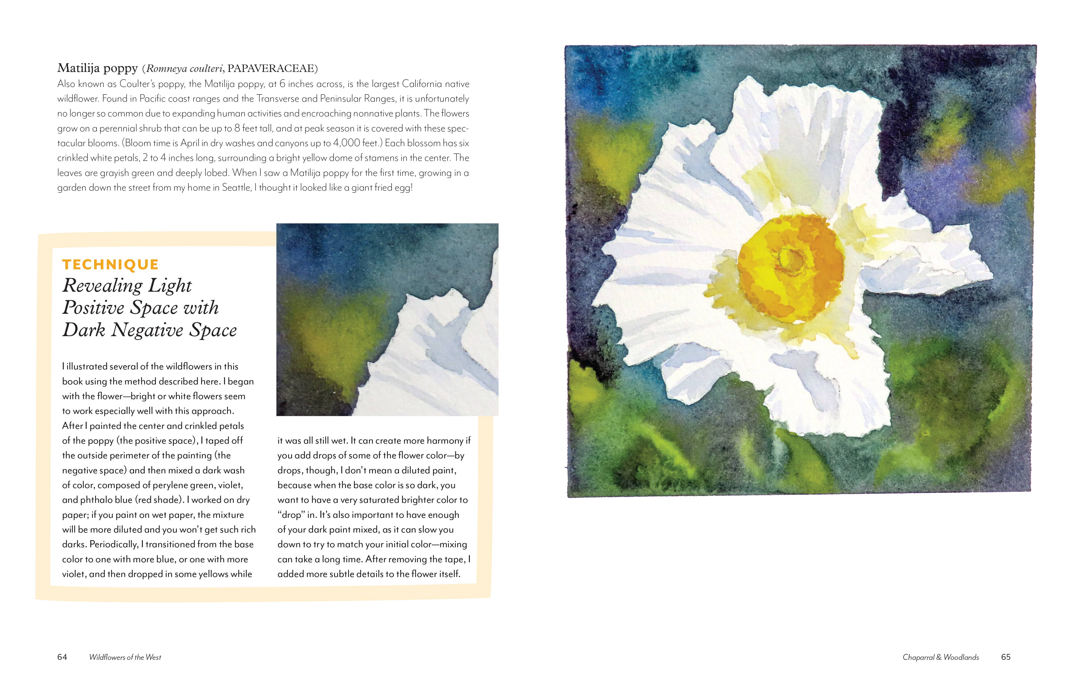 Wildflowers of the West: An Artist's Guide