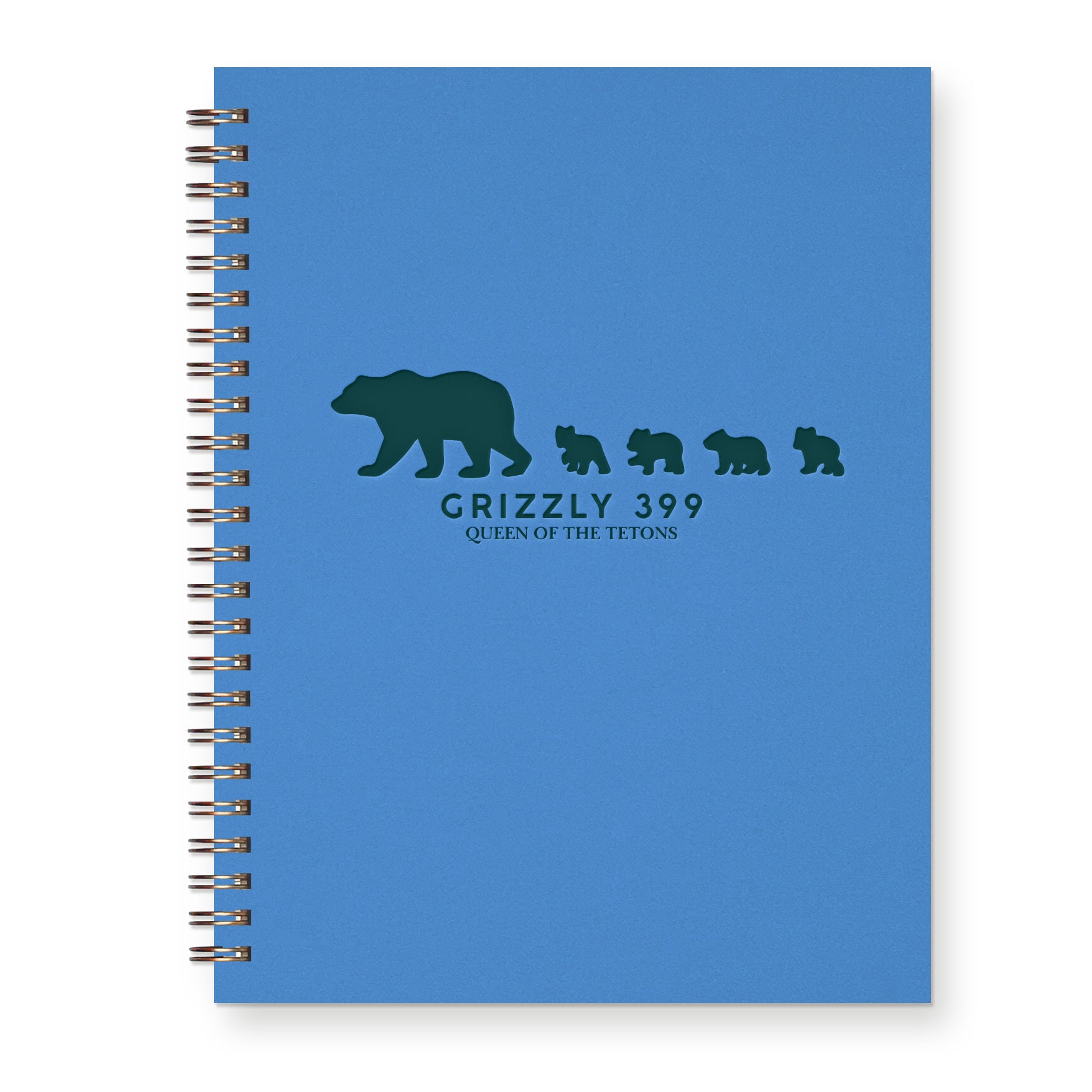 Grizzly Bear 399 Journal
