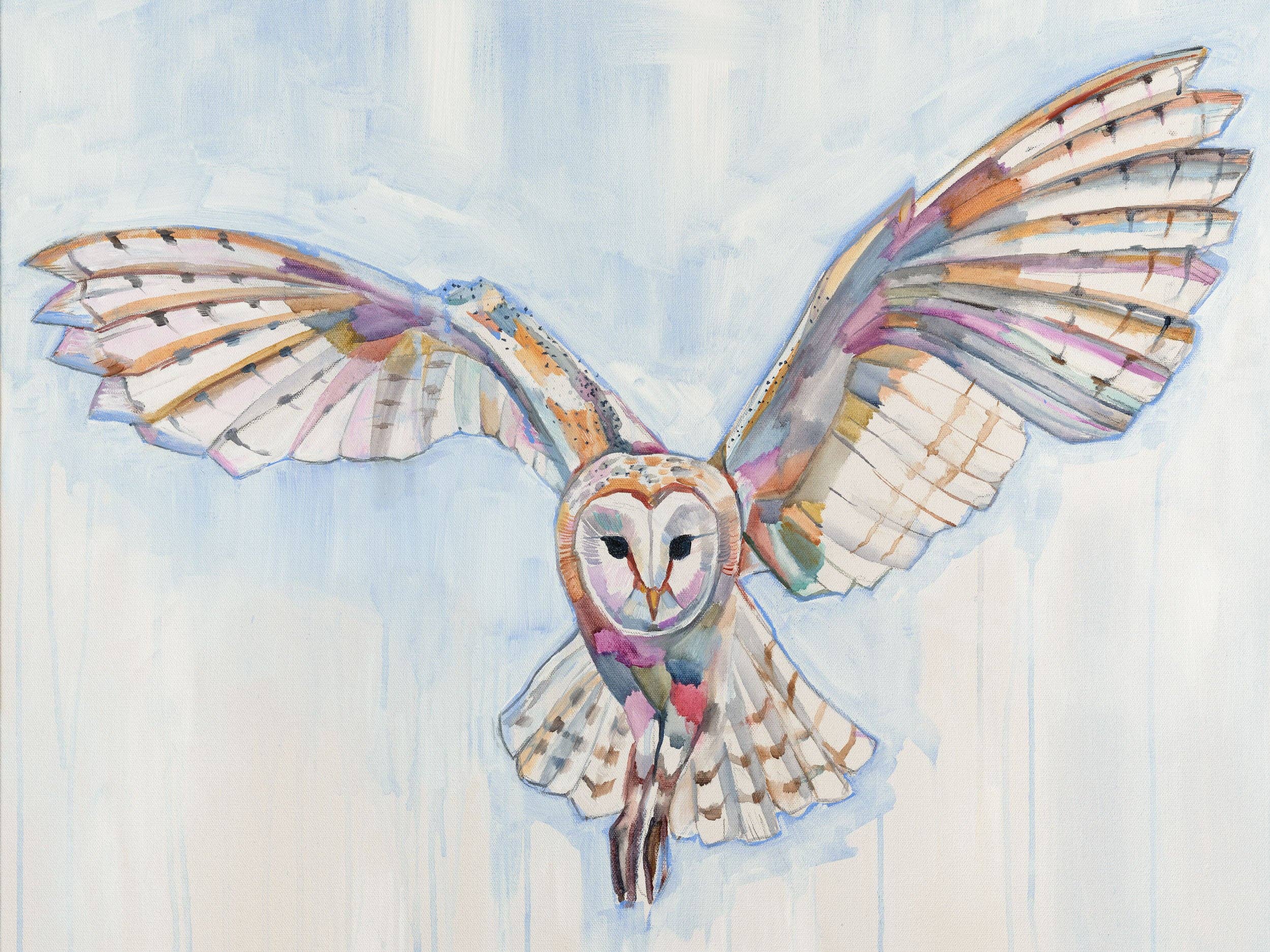 Barn Owl Archival Print