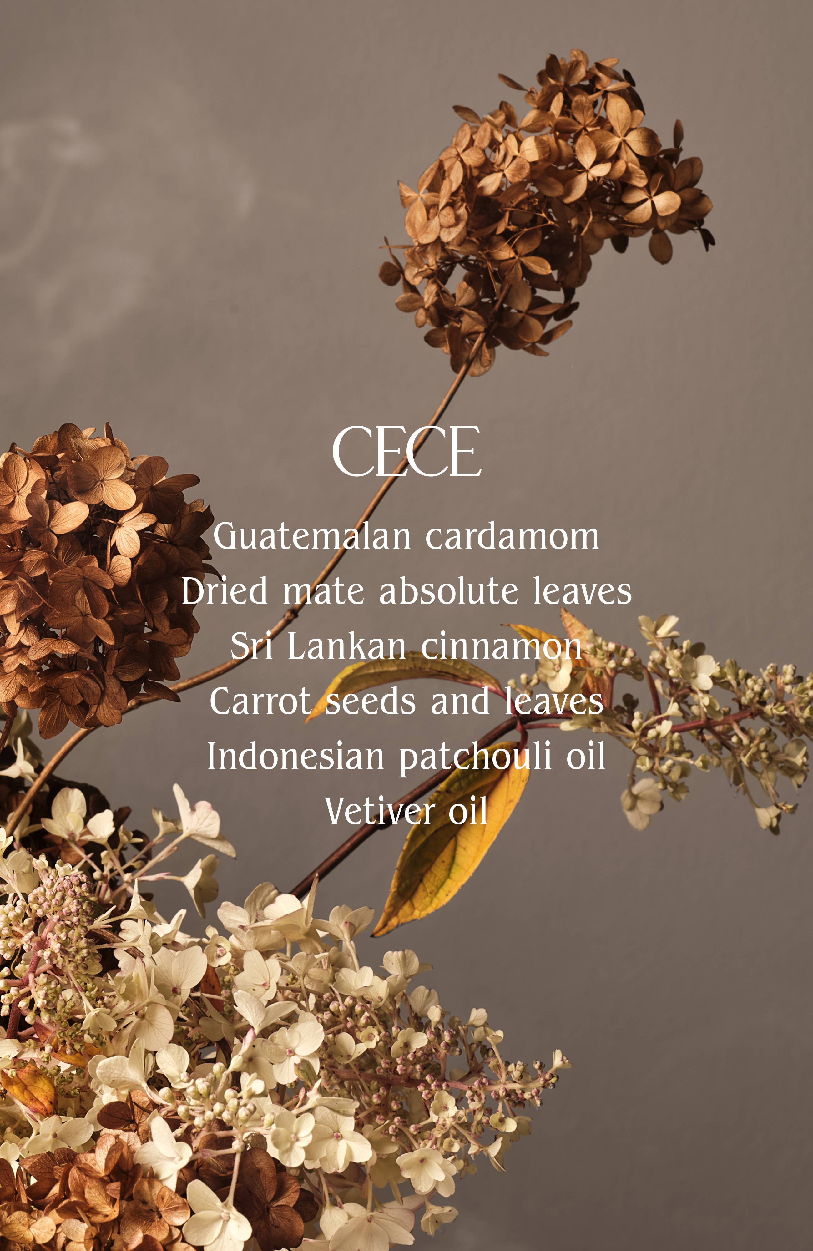 Homecourt - Signature Candle by Courtney Cox