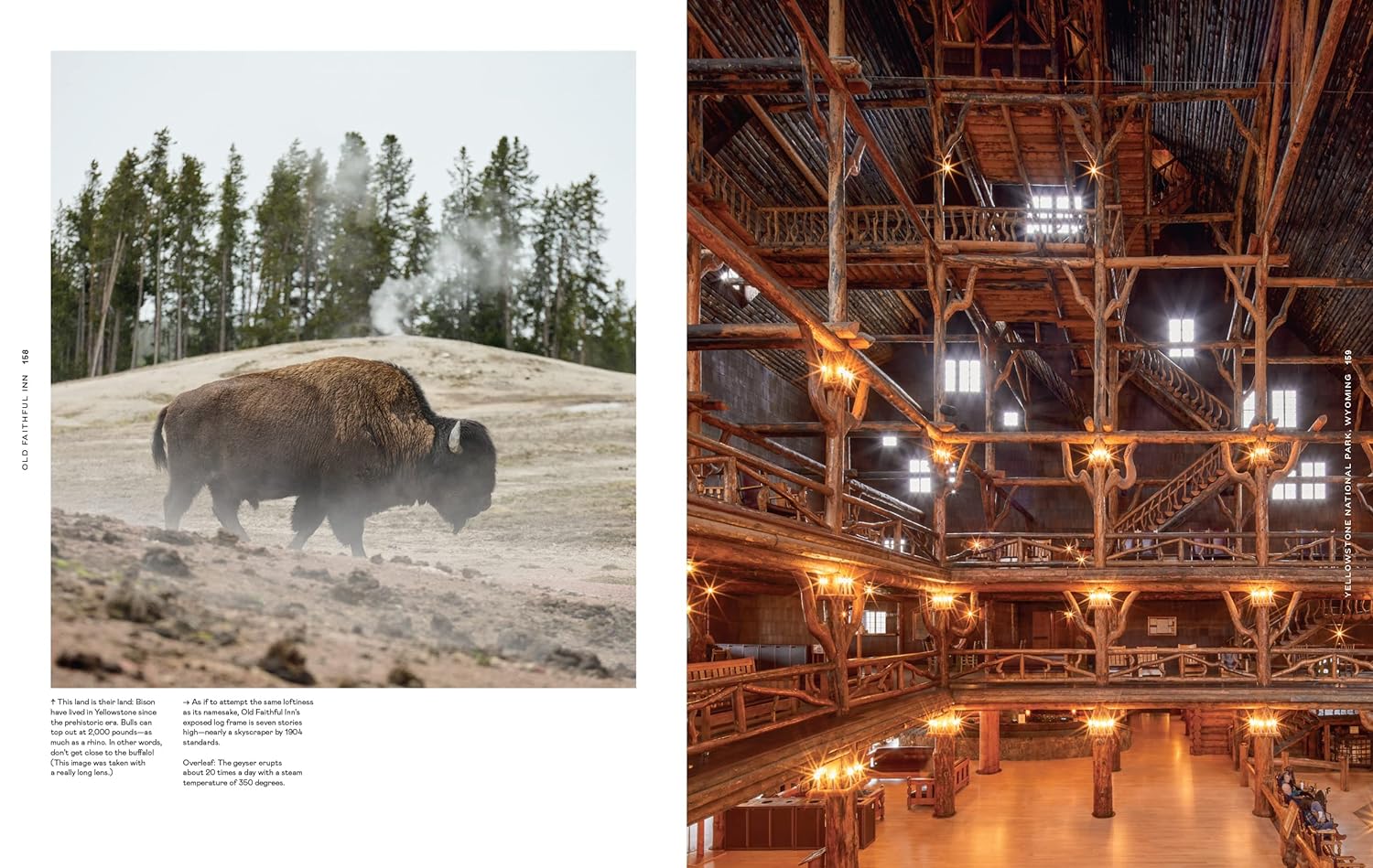 Lodge: An Indoorsy Tour of America’s National Parks