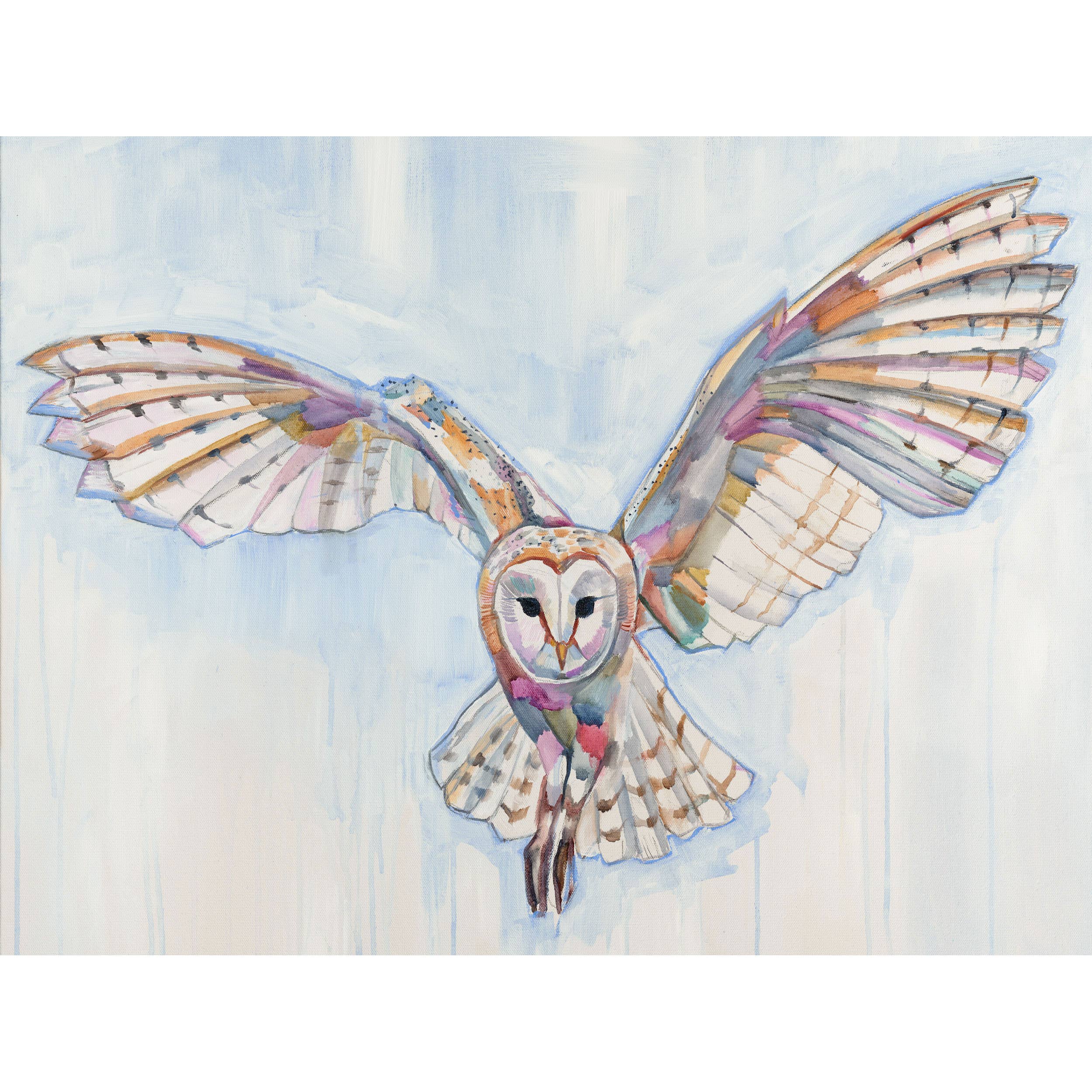 Barn Owl Archival Print