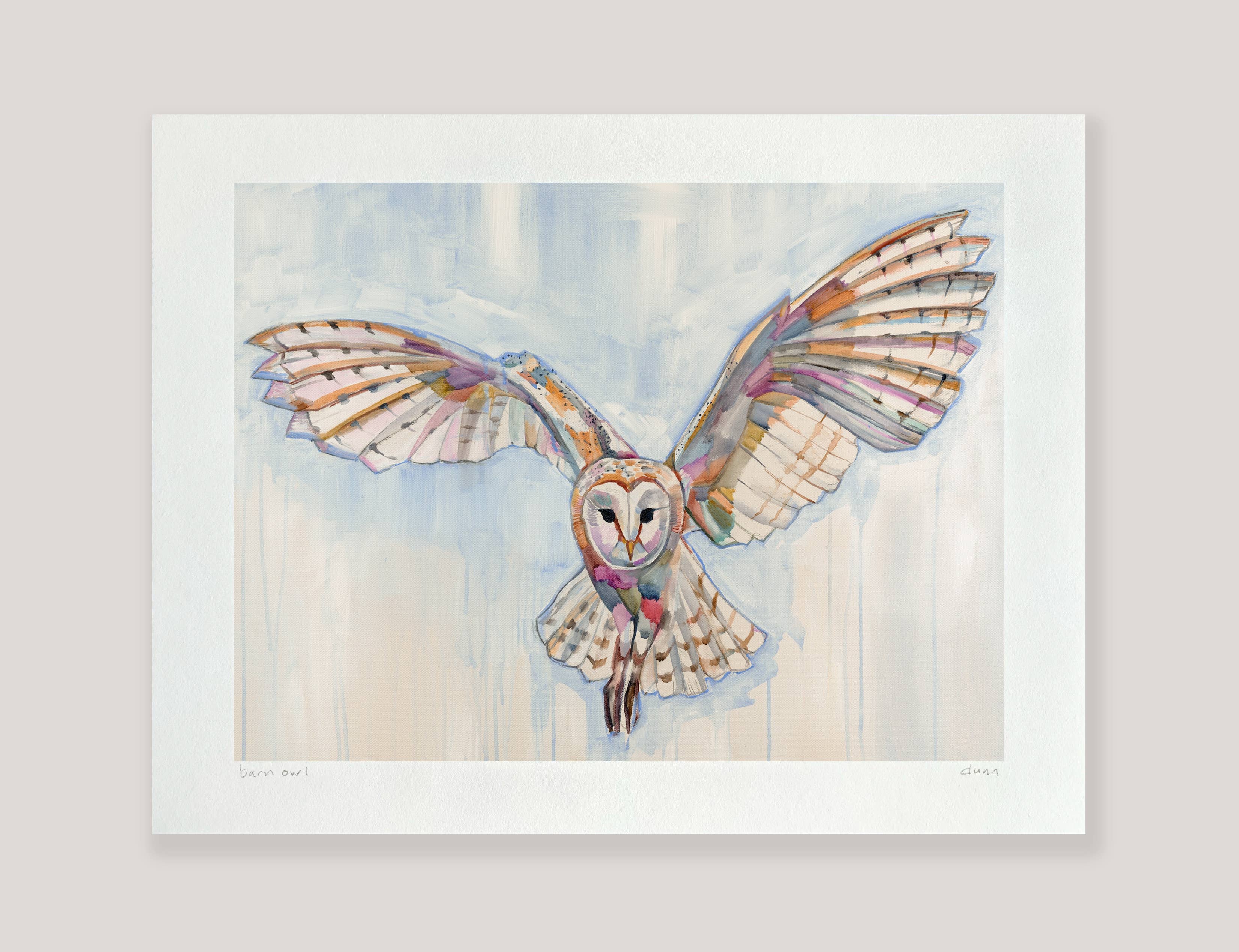 Barn Owl Archival Print