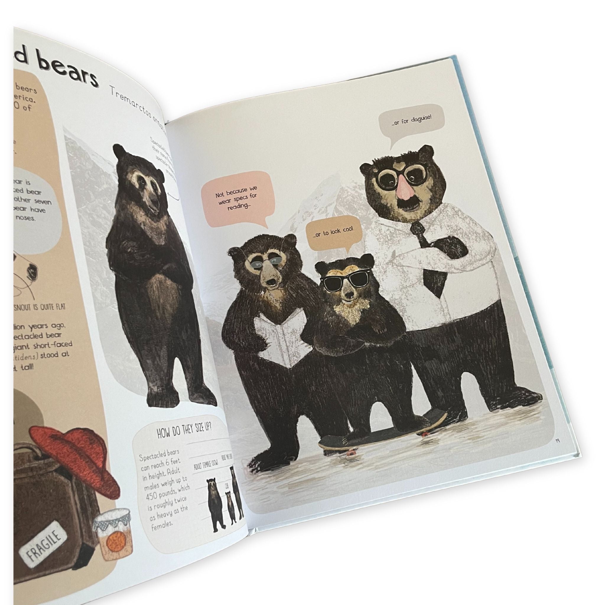 A Book Of Bears