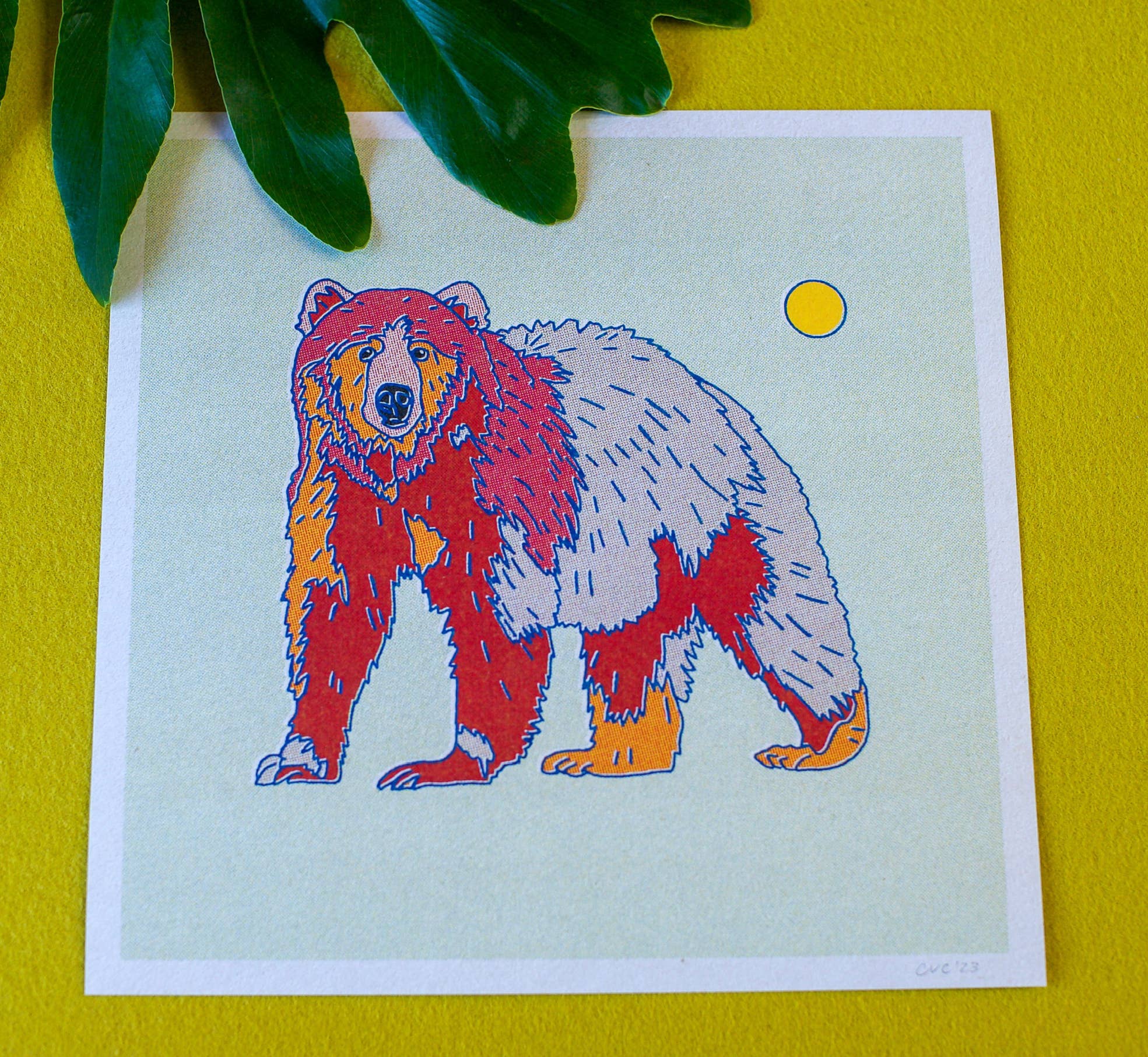 Rainbow Bear Print