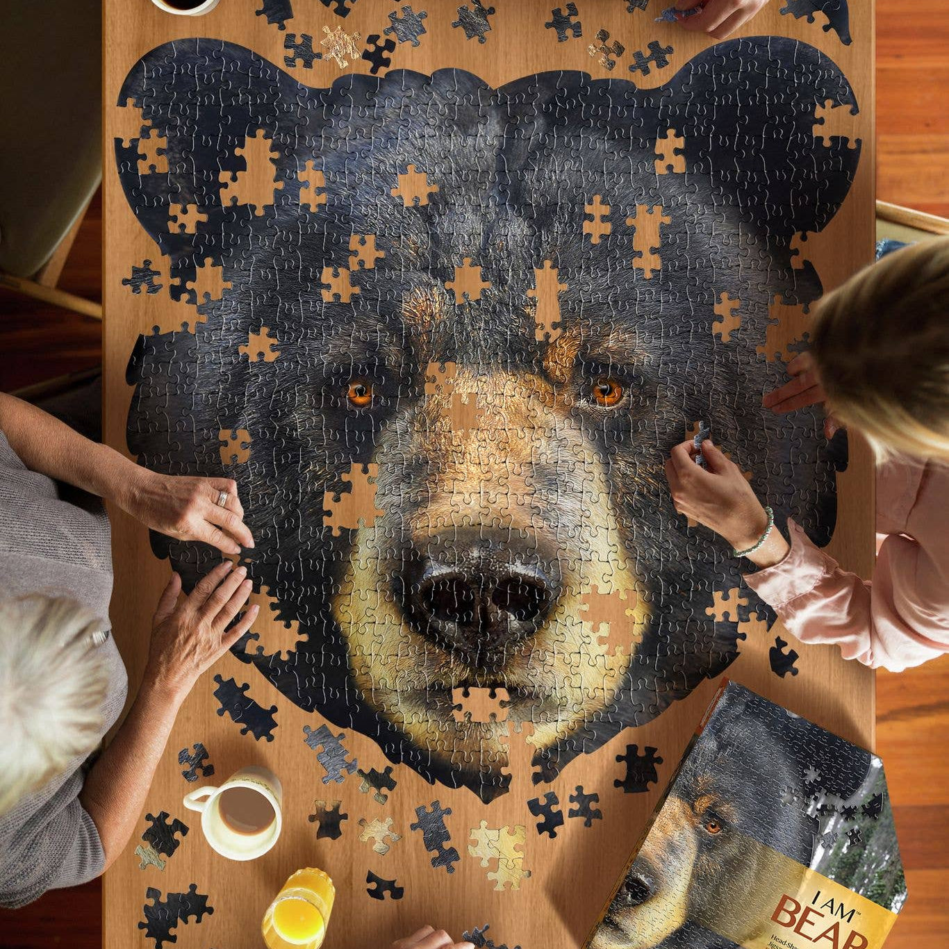 Family doing a bear puzzle