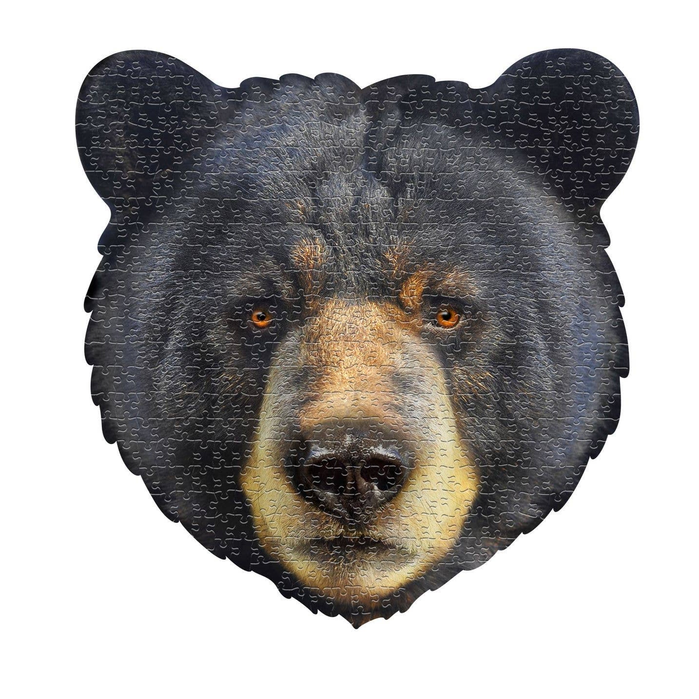 cool bear puzzle