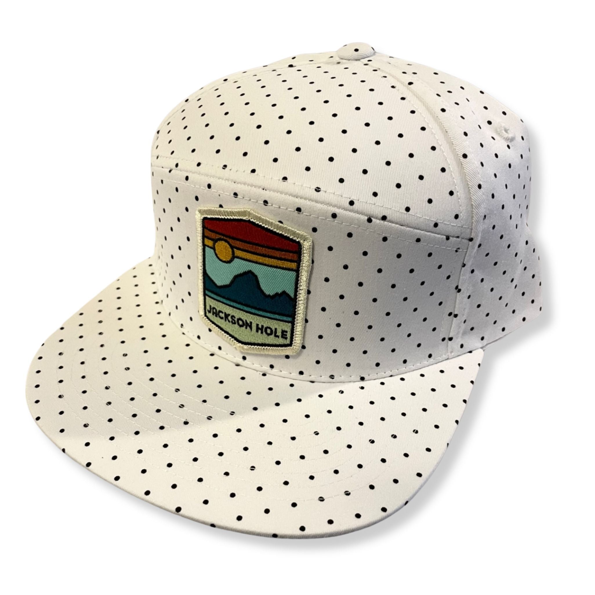 Jackson Hole Colored Teton Skyline Polka Dot Flatbill