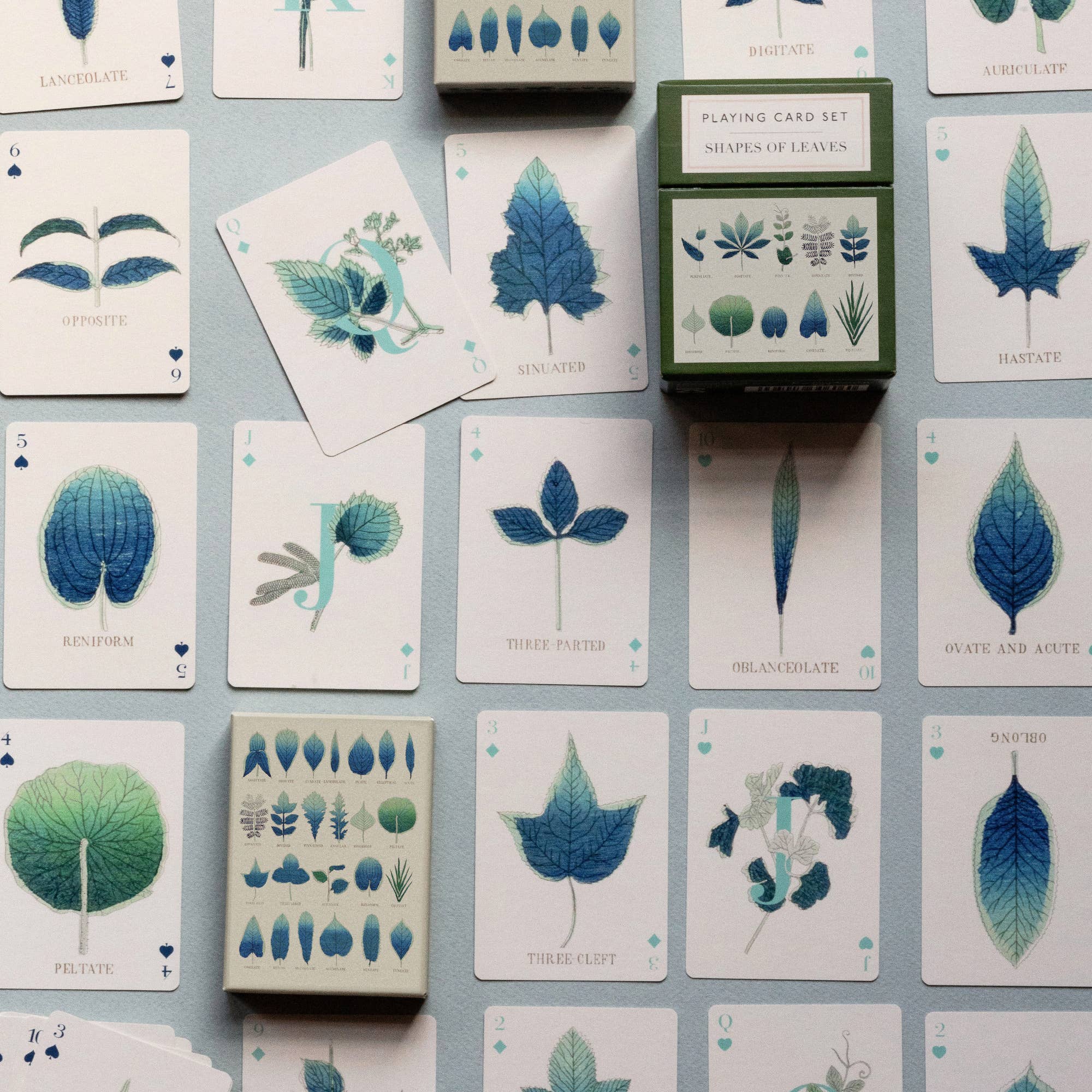 Playing card set with leaf designs on a blue background