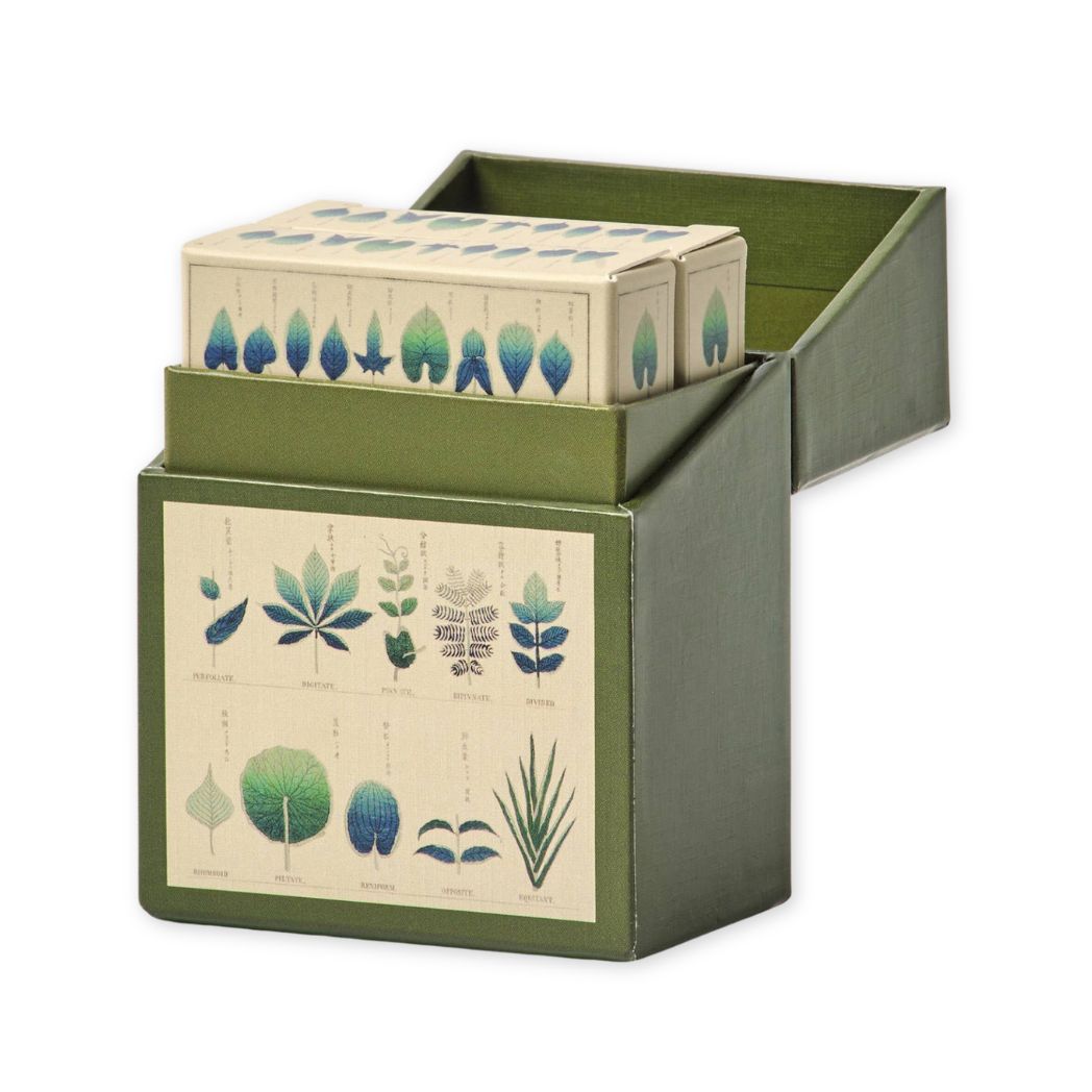 Green box with botanical design on a white background