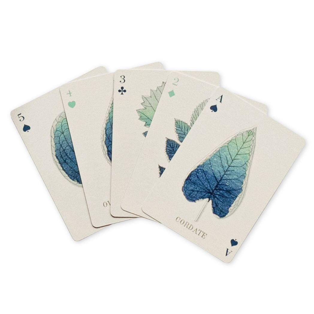 Set of playing cards with leaf designs on a white background