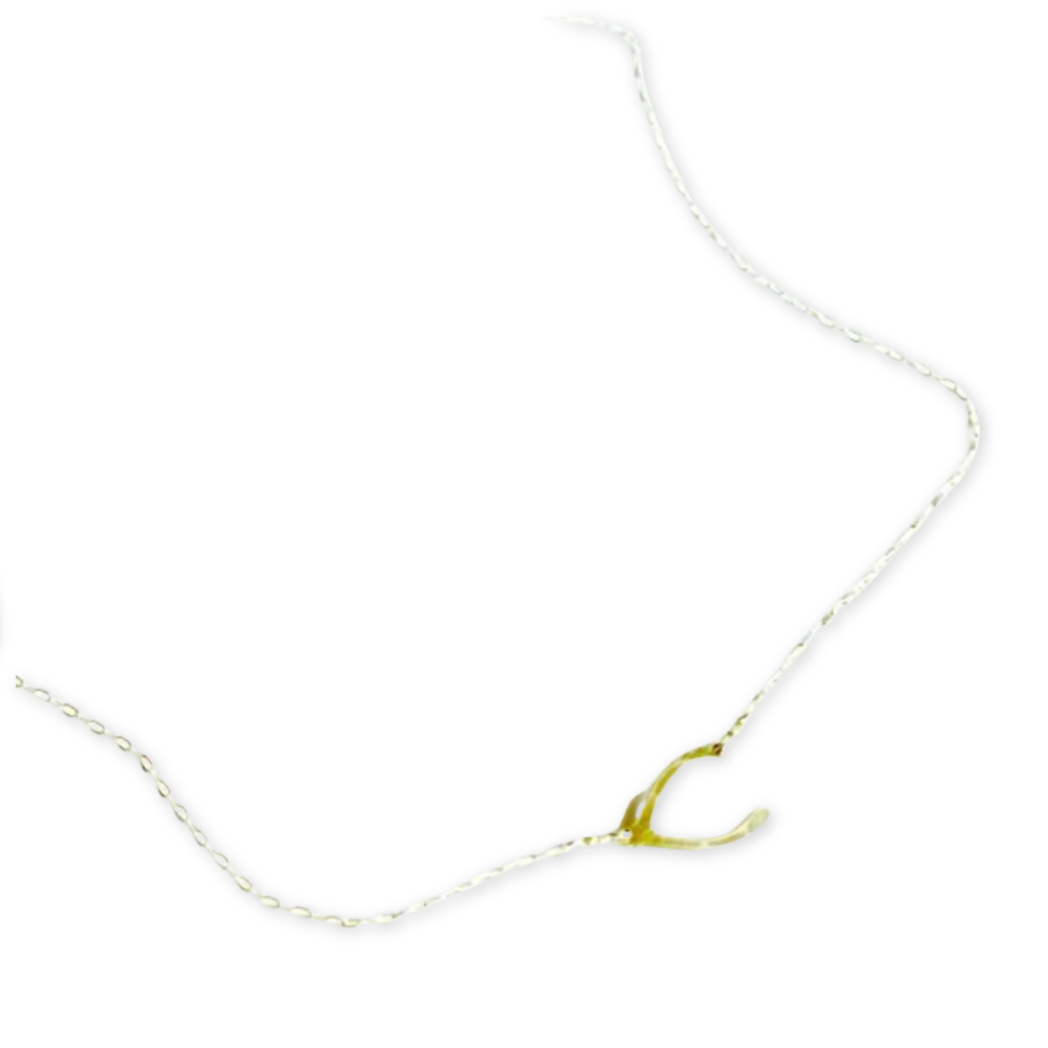 very delicate necklace chain with a tiny wishbone charm
