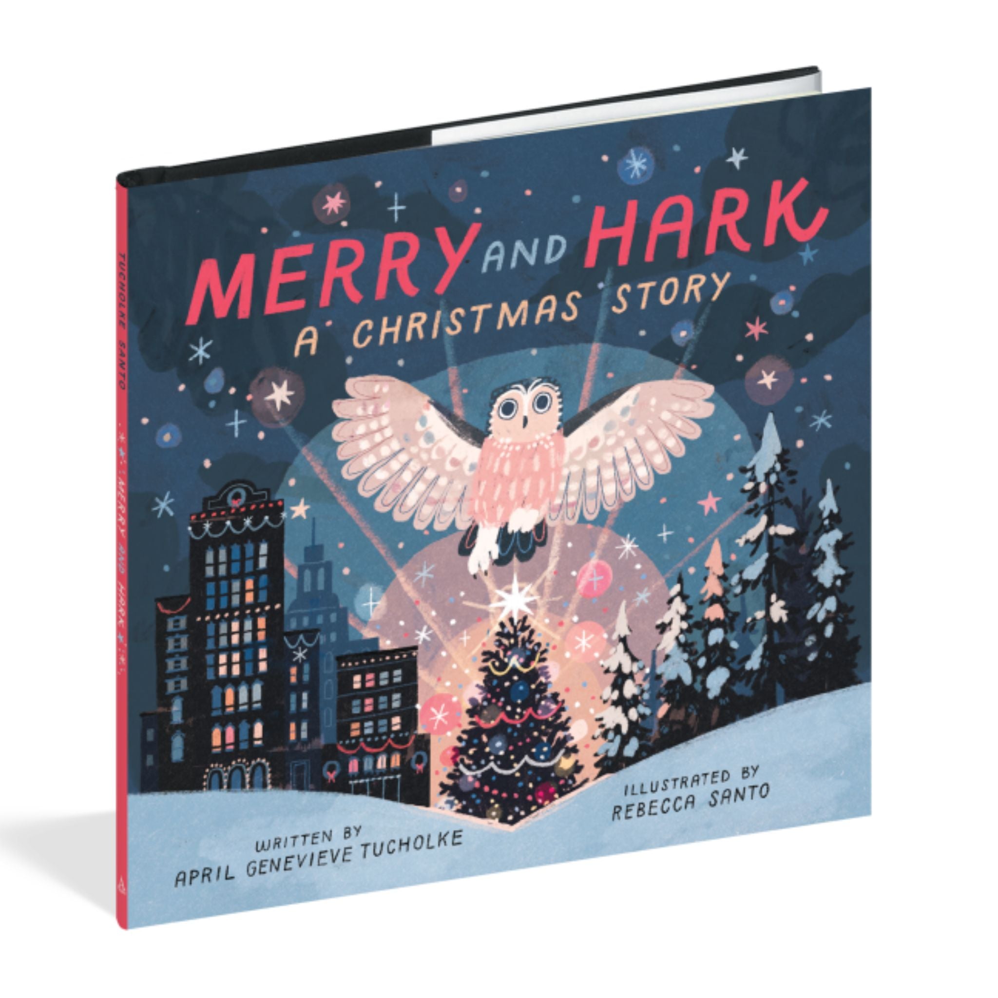 Book About a christmas owl