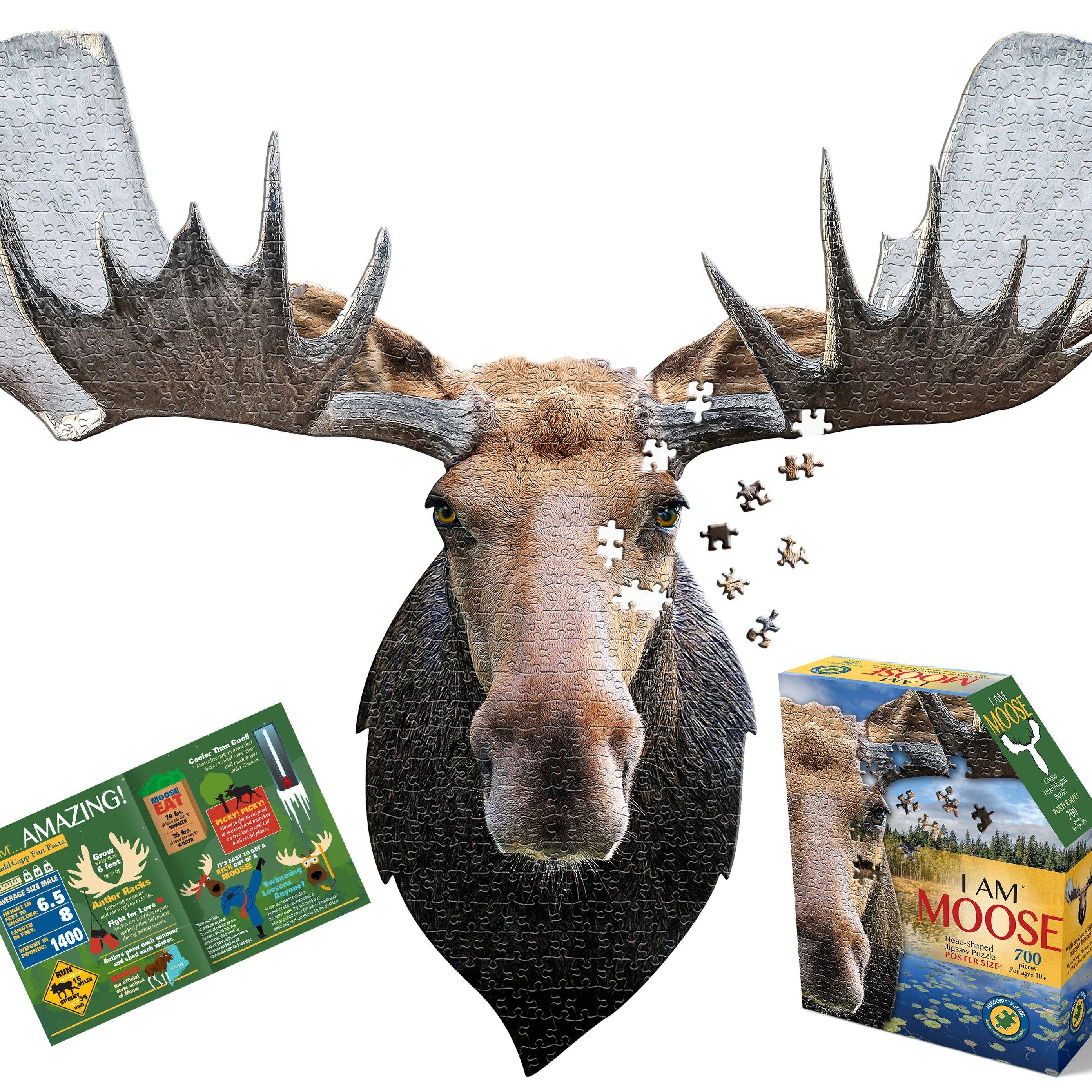 Showing a box and the shape of a moose puzzle