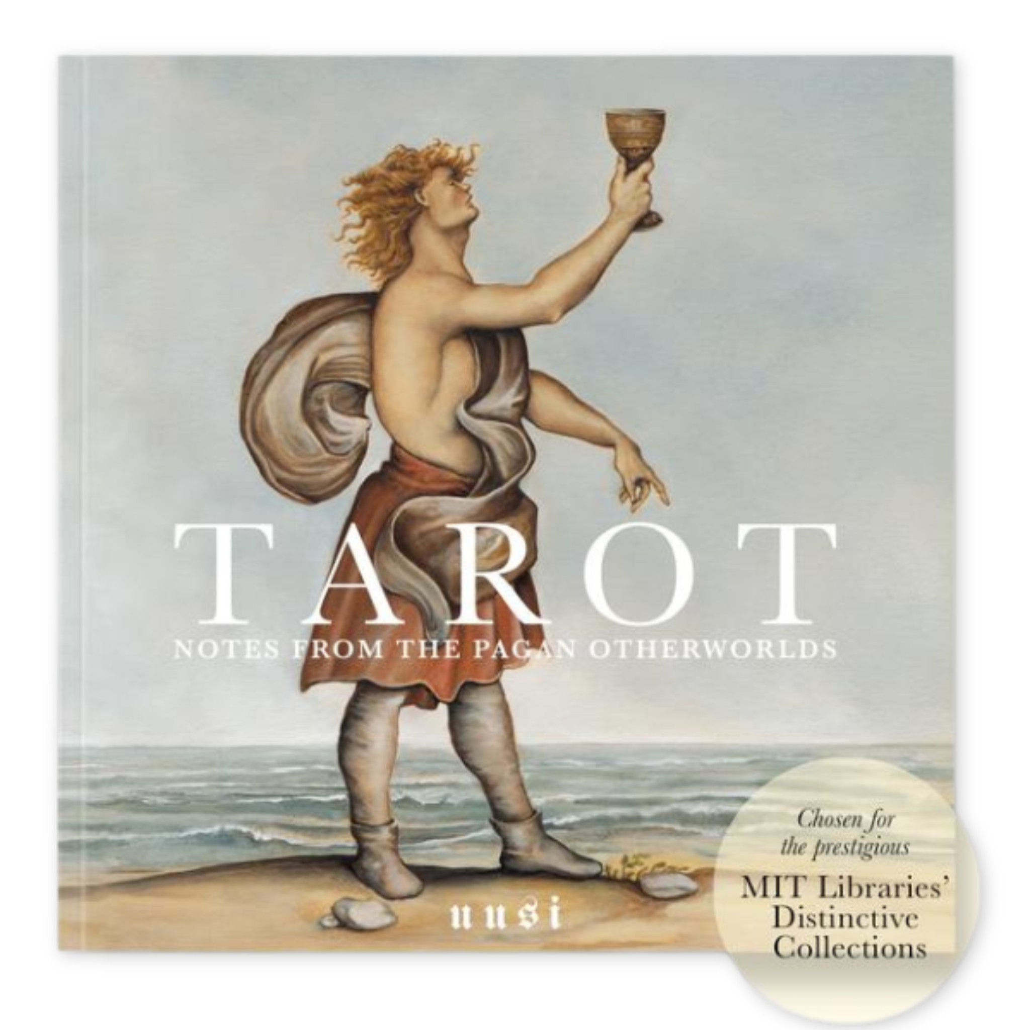 book to interpret the pagan otherworlds tarot book