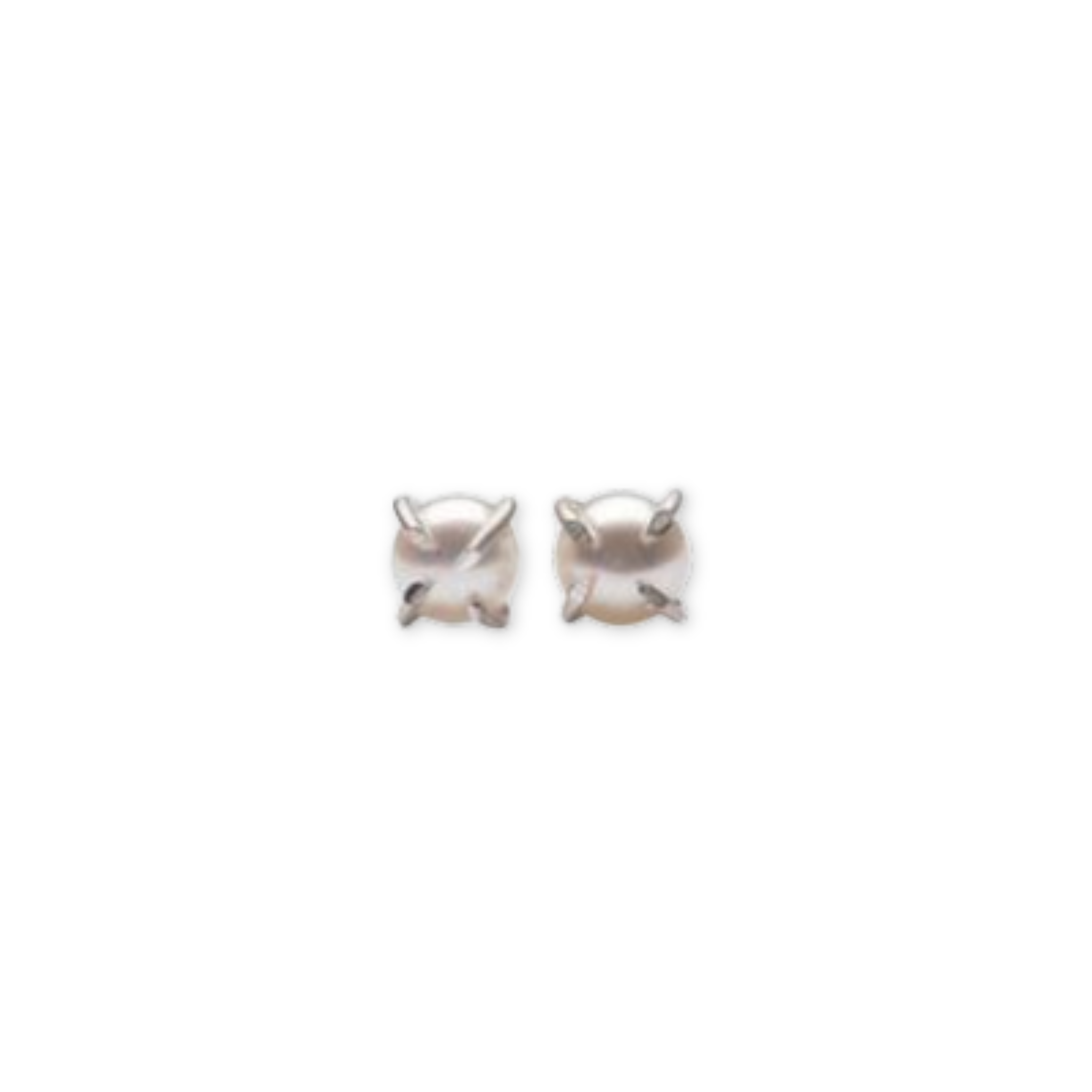 silver pronged pearl earrings