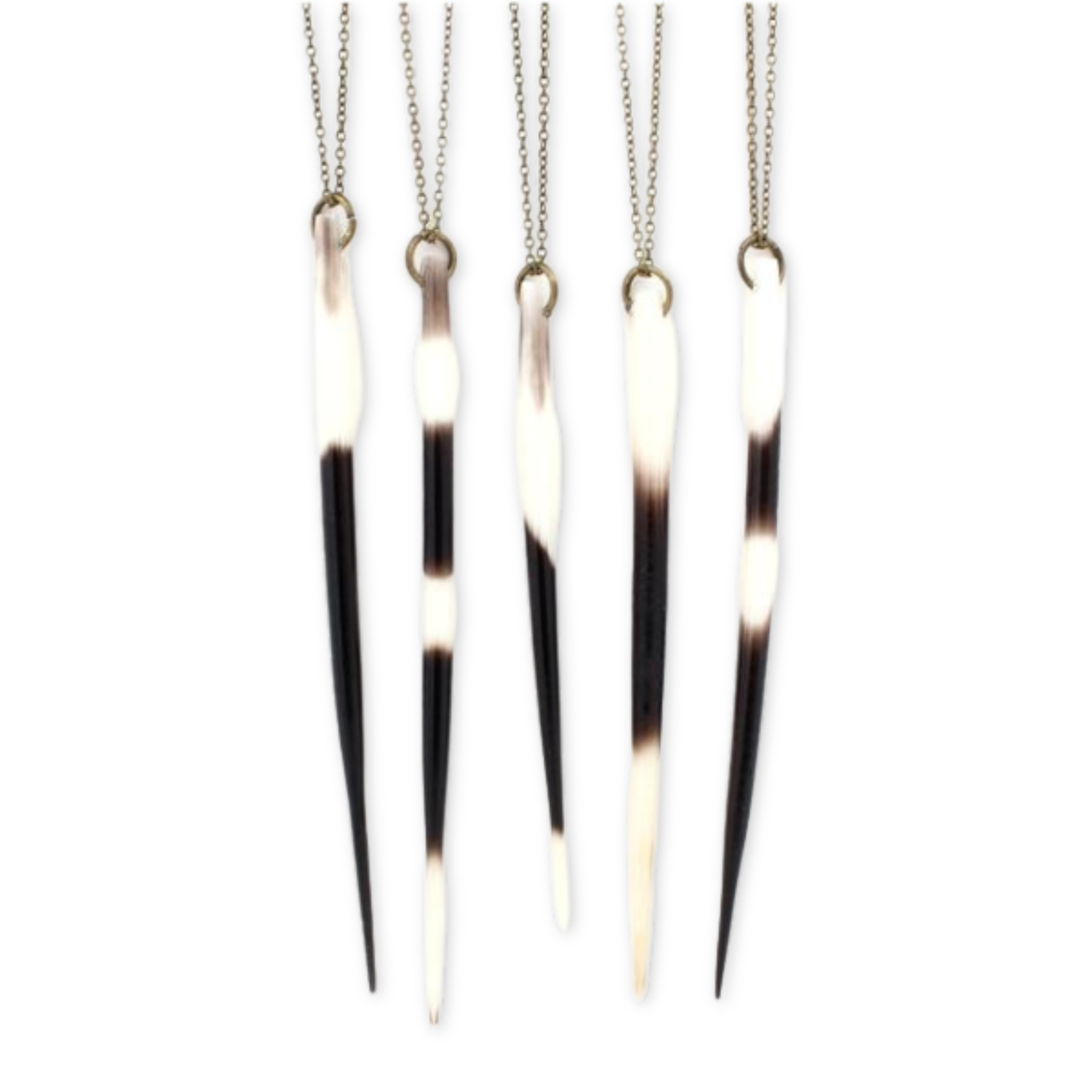 necklace with a porcupine quill