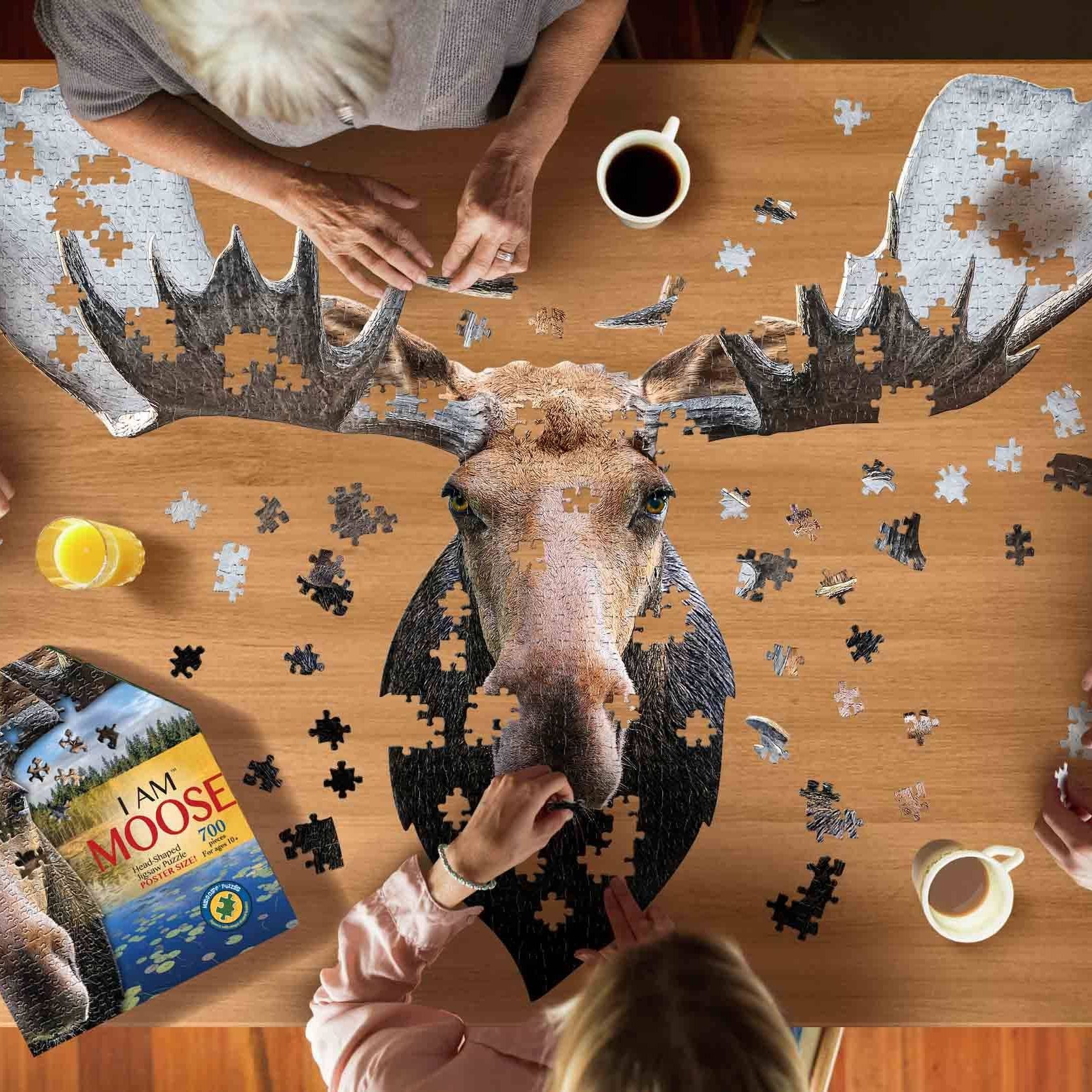 Family doing a puzzle