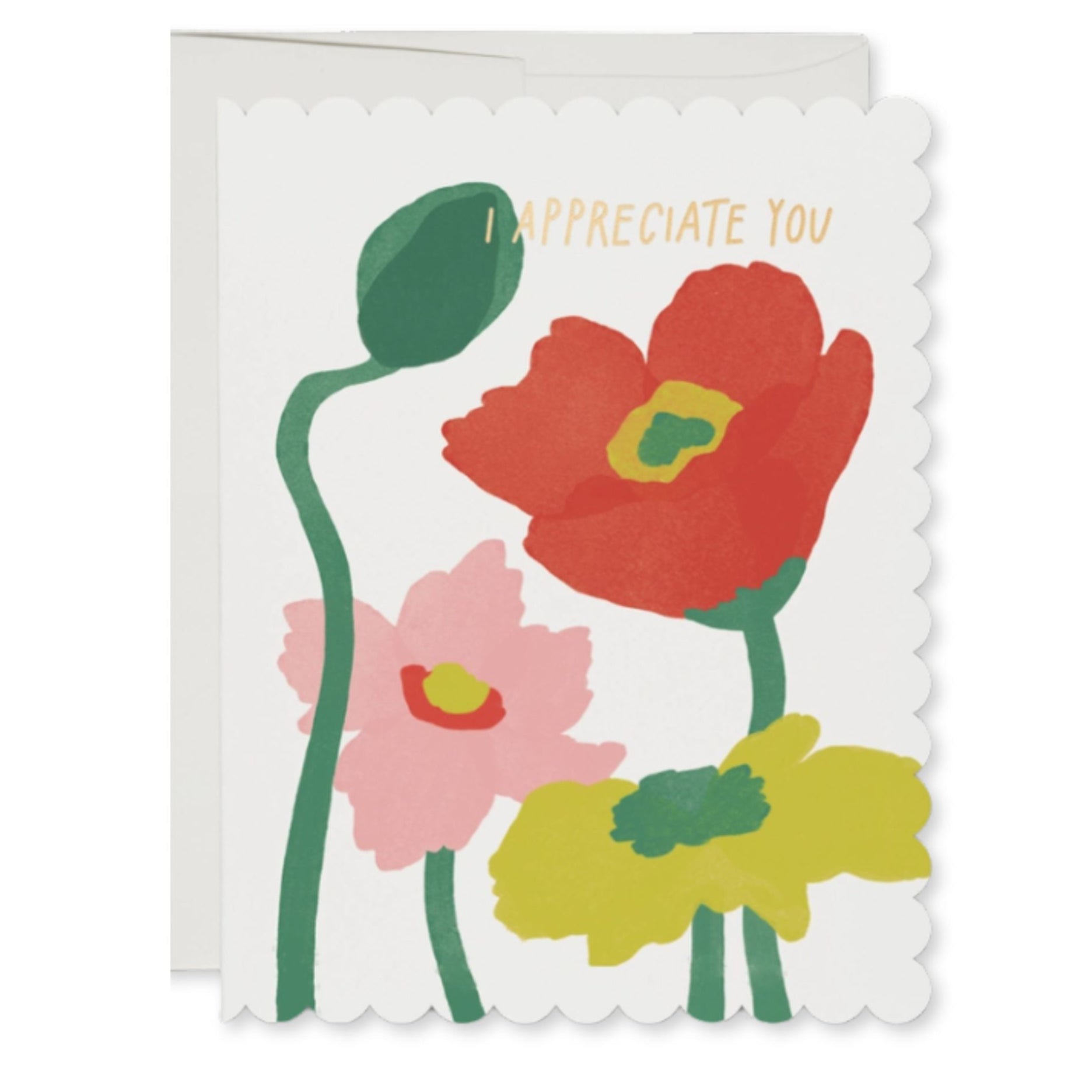 Scalloped Poppy Thank You Boxed Set