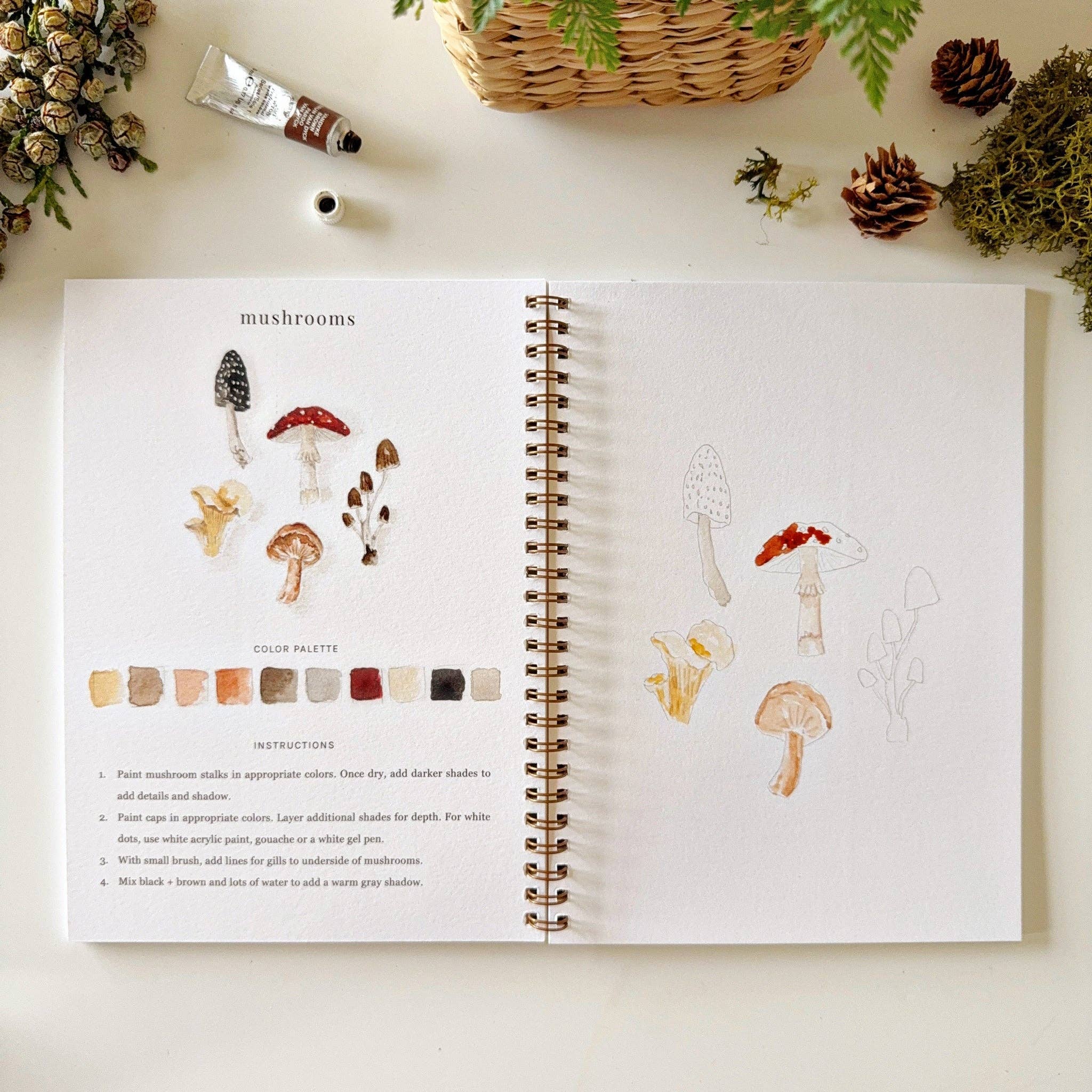 Open book with illustrations of mushrooms and color swatches on a table with decorative items.