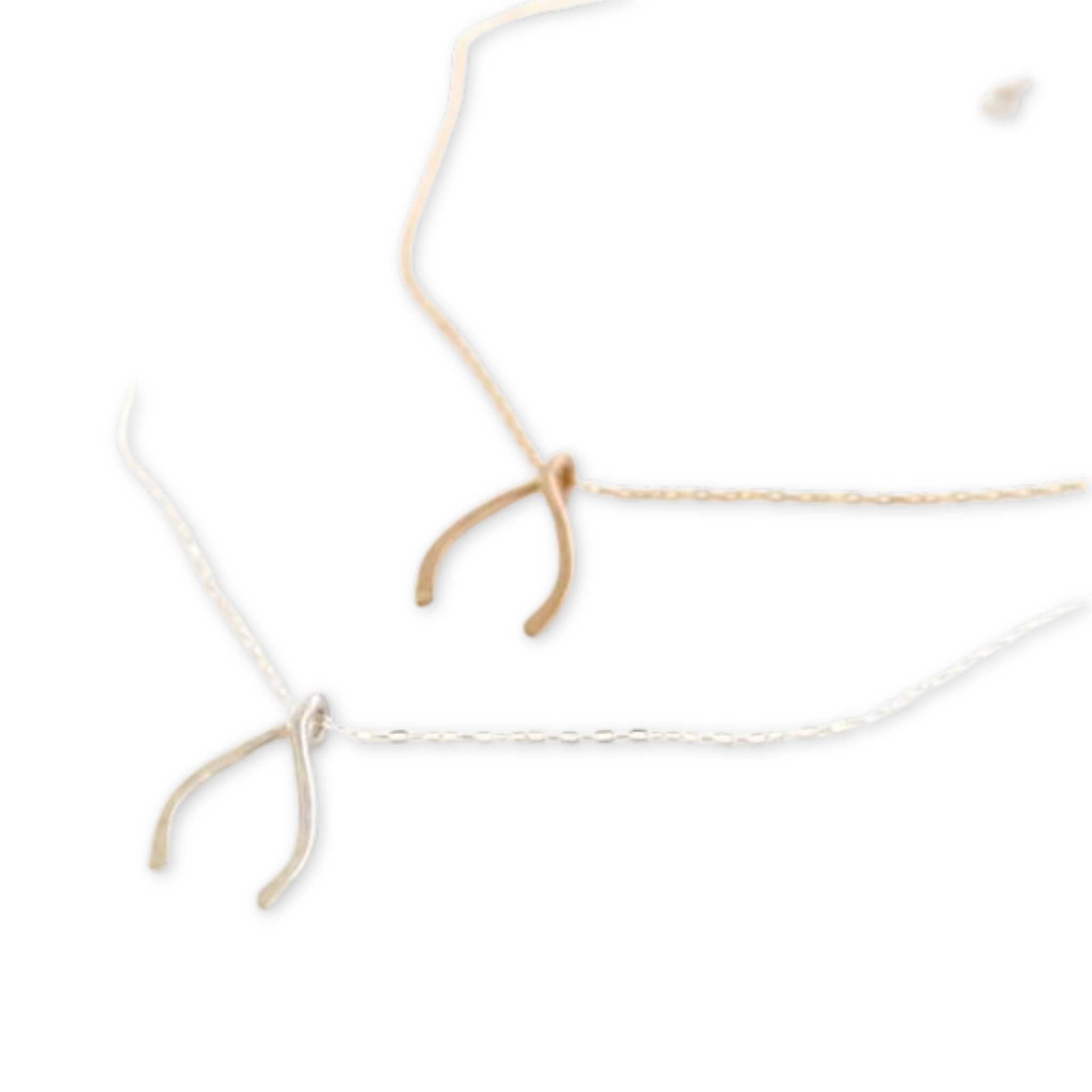 necklace with a wishbone charm