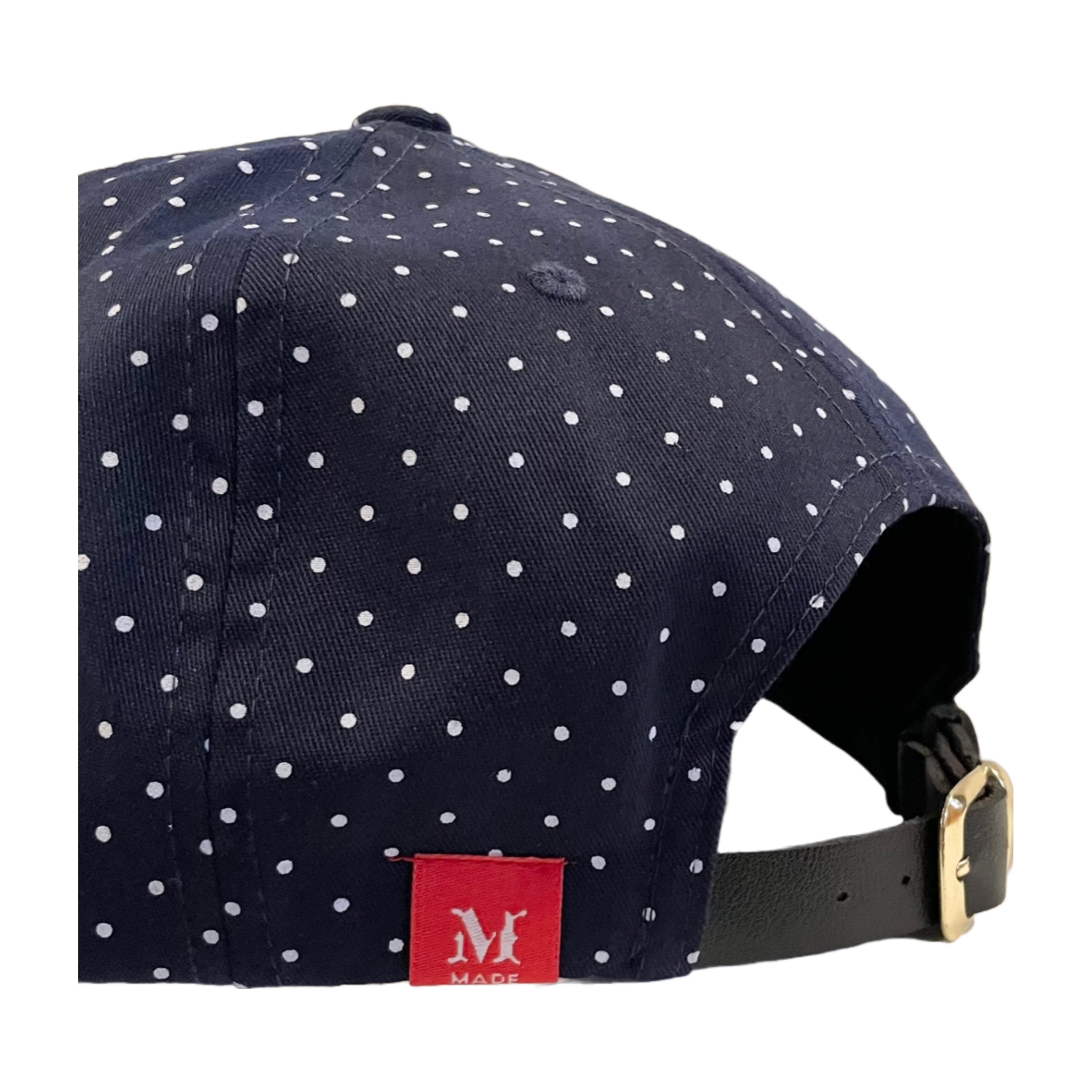Teton Village Tram Polka Dot Flat Bill