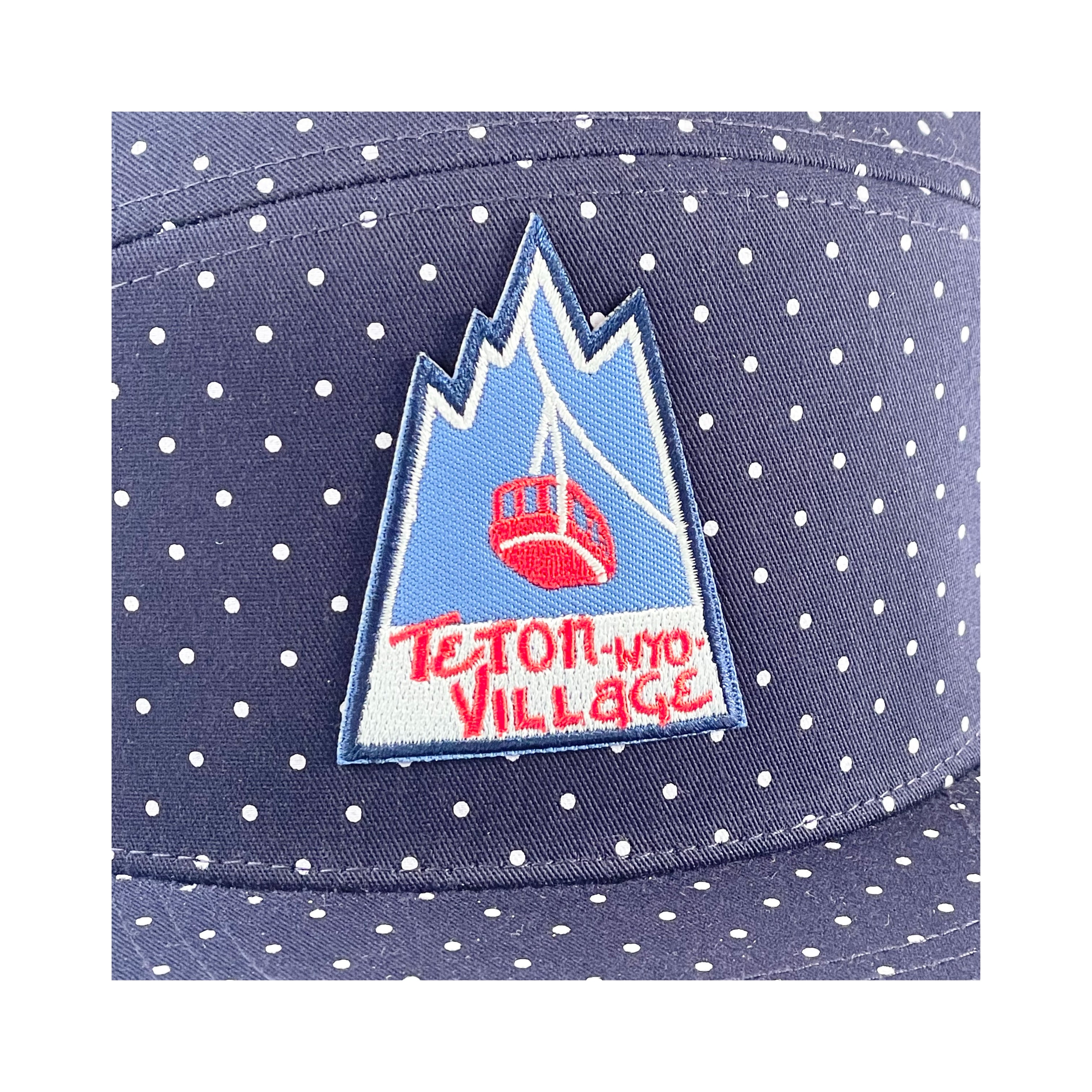 Teton Village Tram Polka Dot Flat Bill