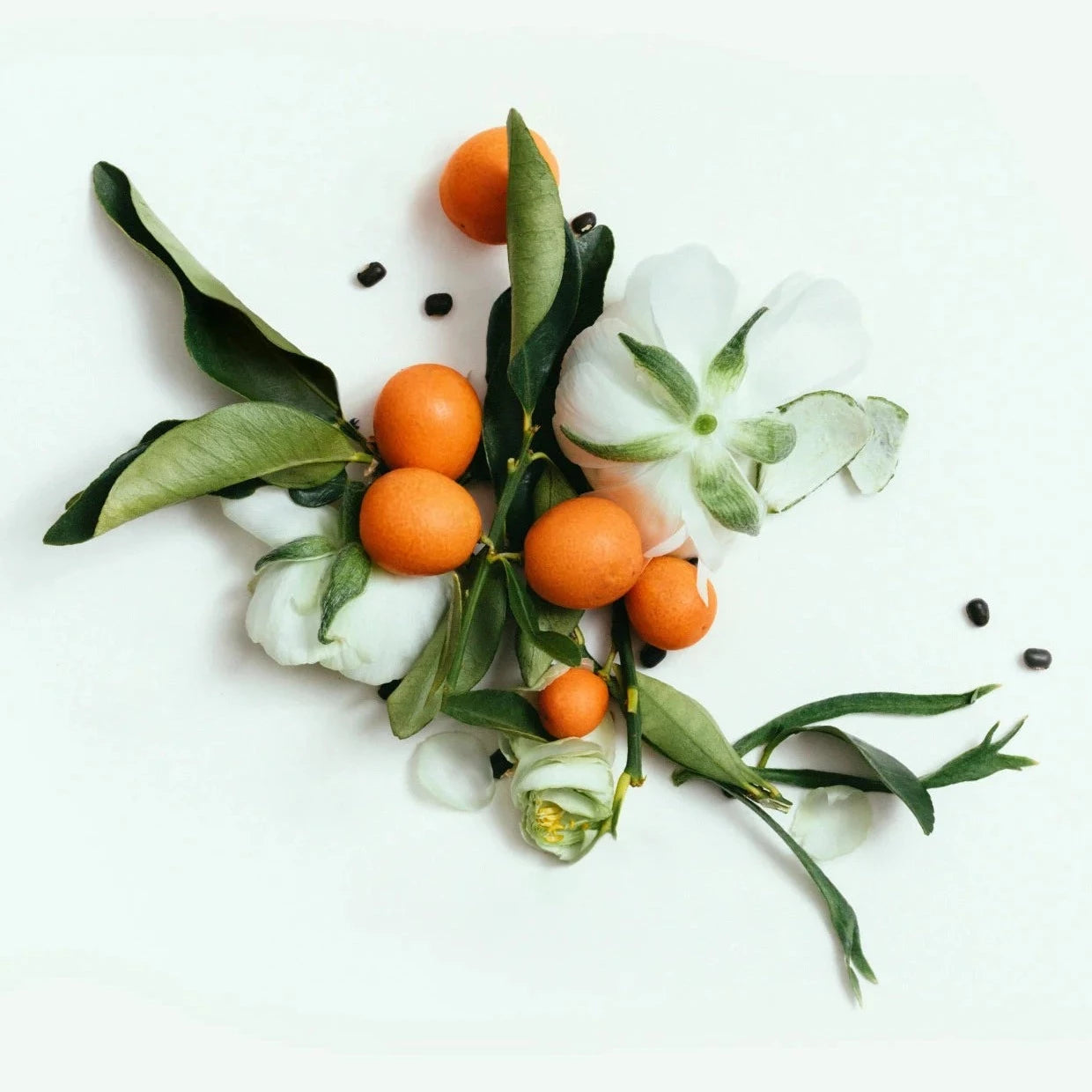 CORPUS - Neroli Natural Deodorant