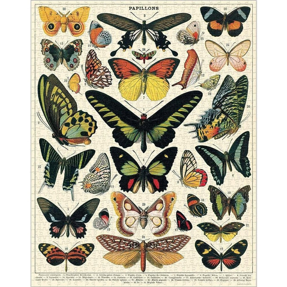 Papillons Card