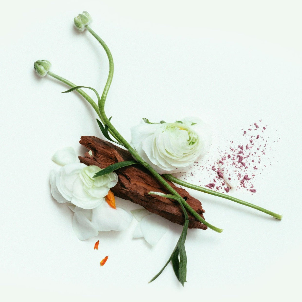 CORPUS - Third Rose Body Wash