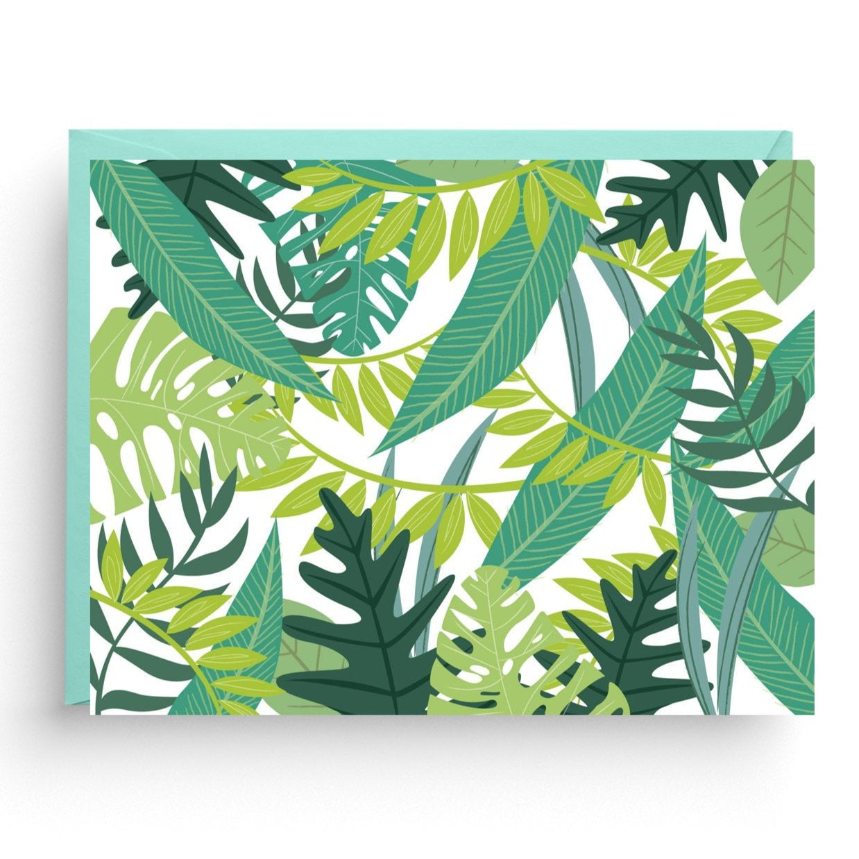 Tropical Safari Boxed Set