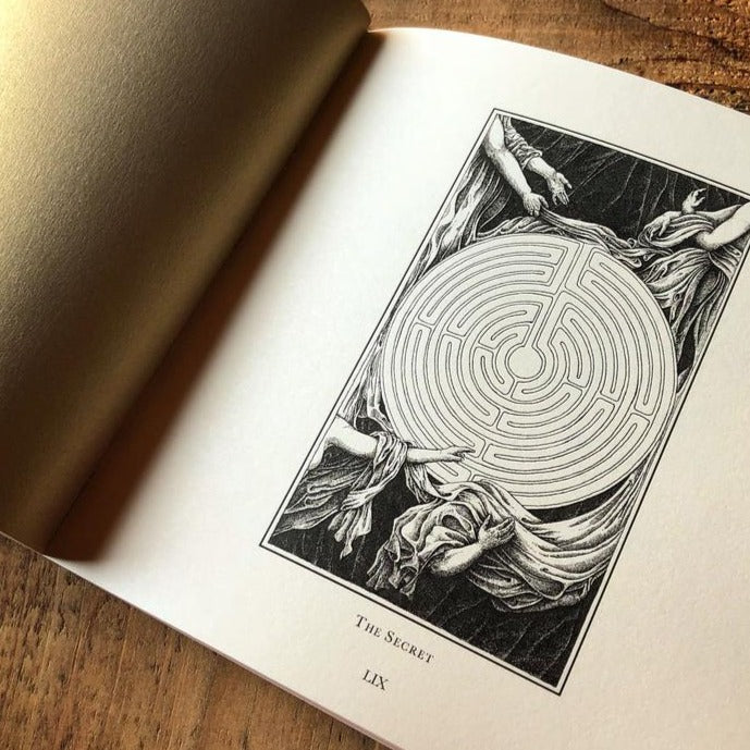 Supra The Path of an Oracle Book