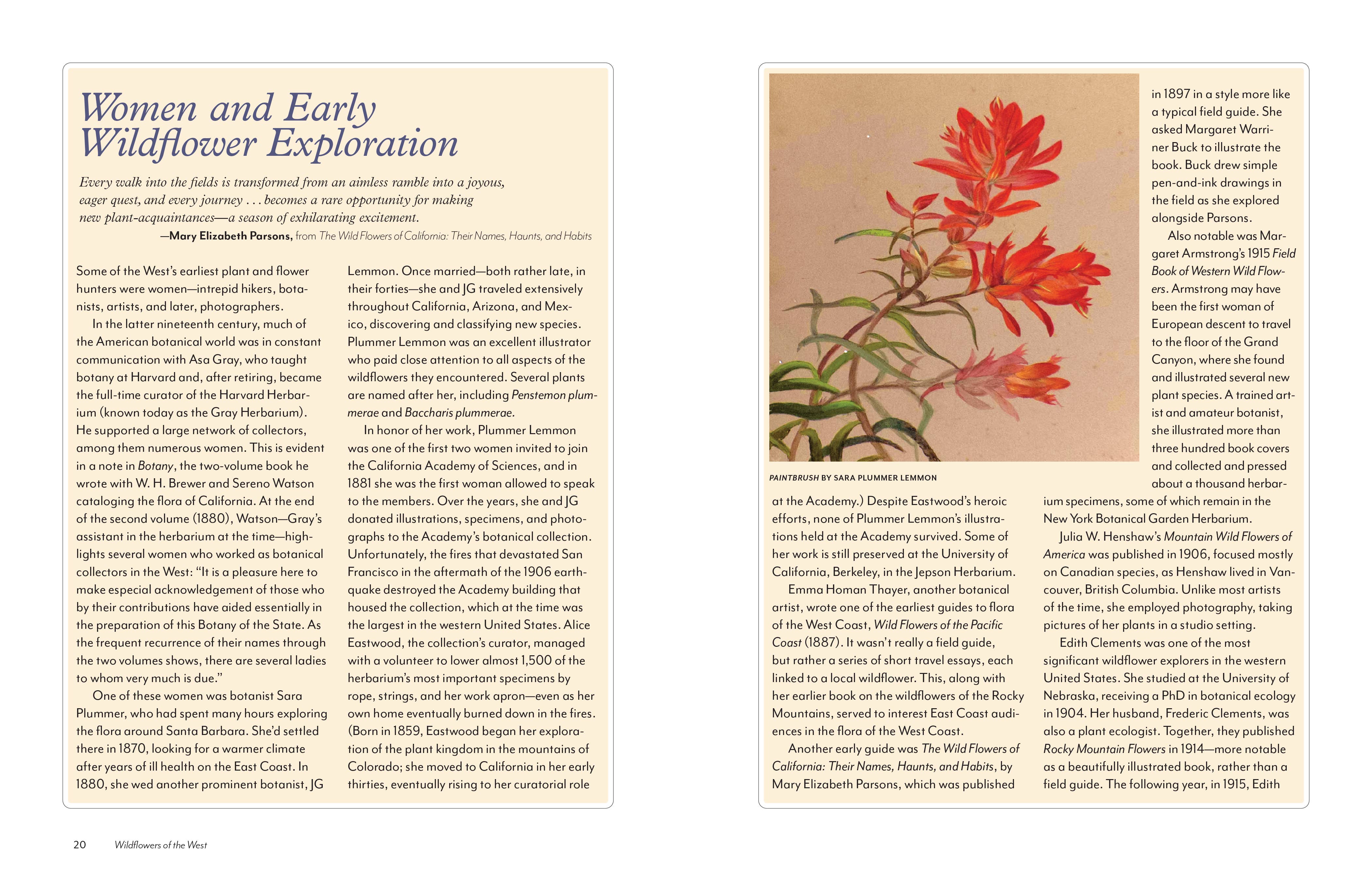 Wildflowers of the West: An Artist's Guide