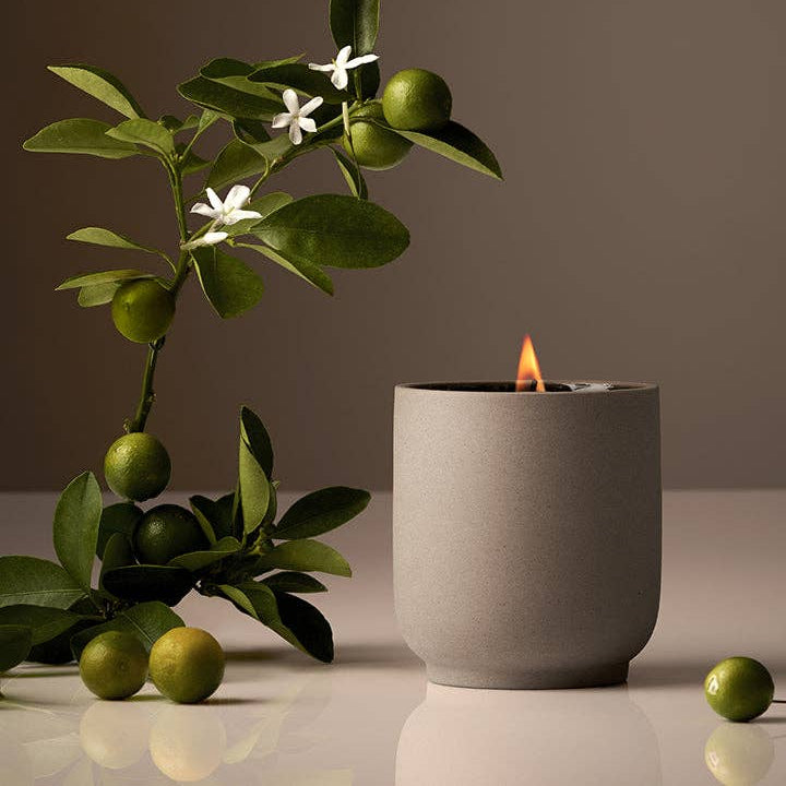 Candle in a gray container with a plant and fruits on a reflective surface