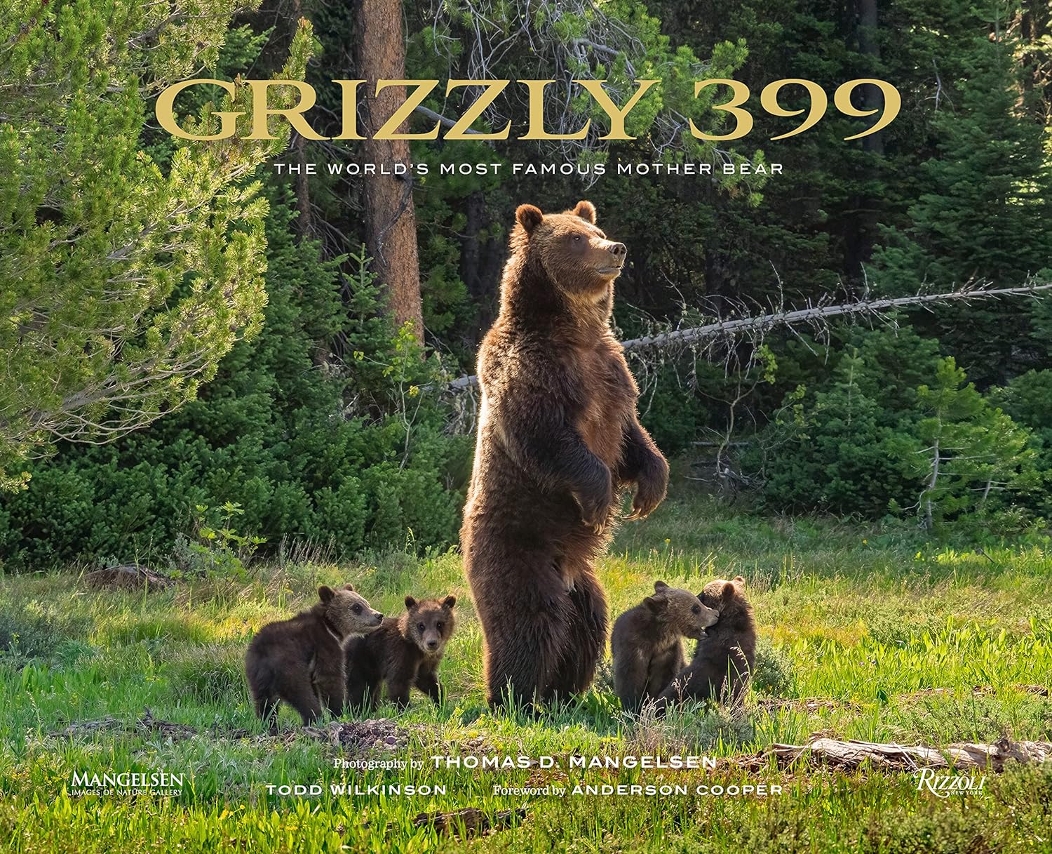 Grizzly 399: The World's Most Famous Mother Bear