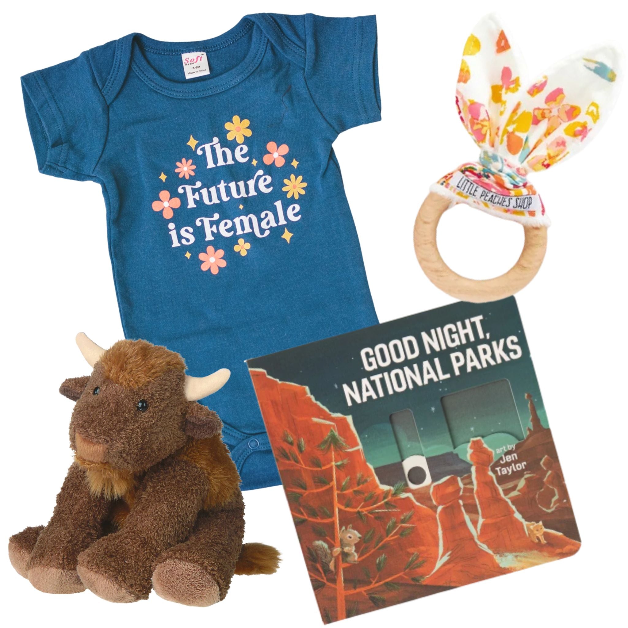Collection of baby items including a blue onesie, plush toy, book, and teething ring on a white background.