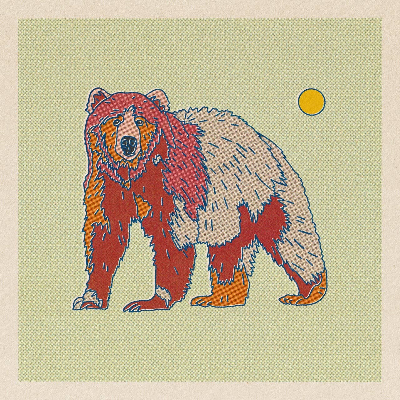 Poster of a Grizzly Bear