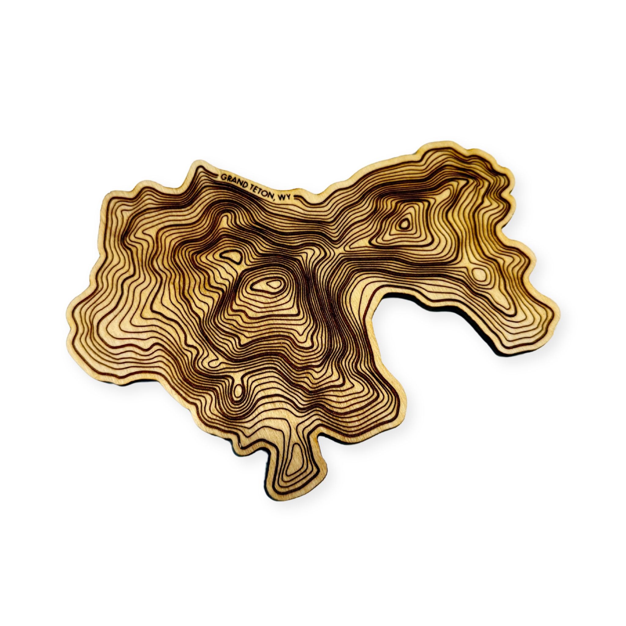 Teton Coaster