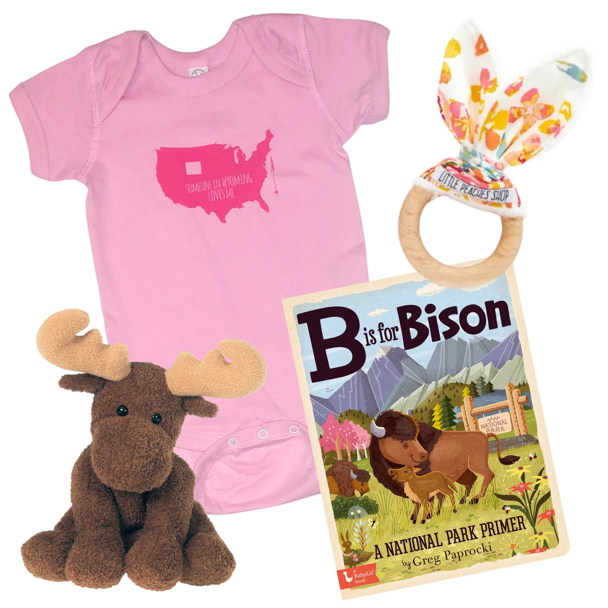 Pink baby onesie with USA map, plush moose, wooden ring toy, and 'B is for Bison' book on a white background