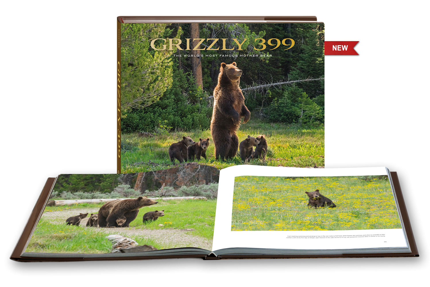 Grizzly 399: The World's Most Famous Mother Bear