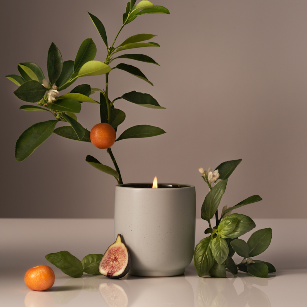 Candle in a white pot with green leaves and fruits on a neutral background