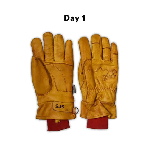 4-Season Gloves