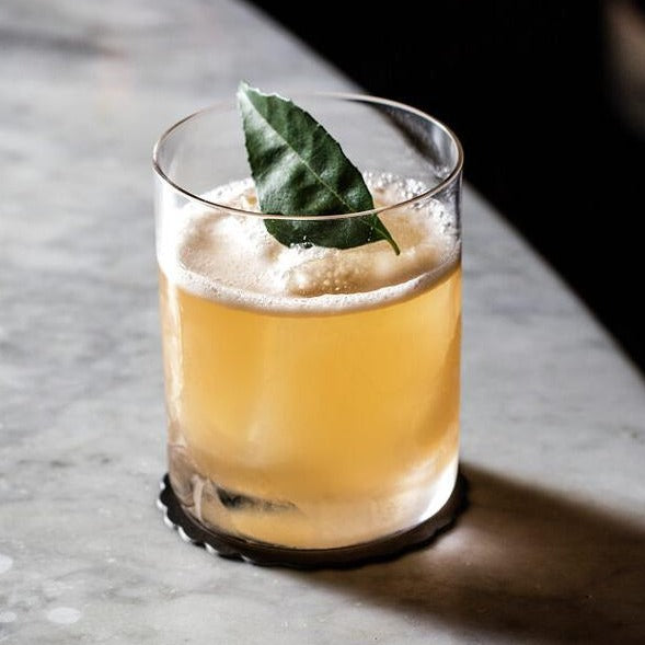 Craft cocktail, with a spring of mint