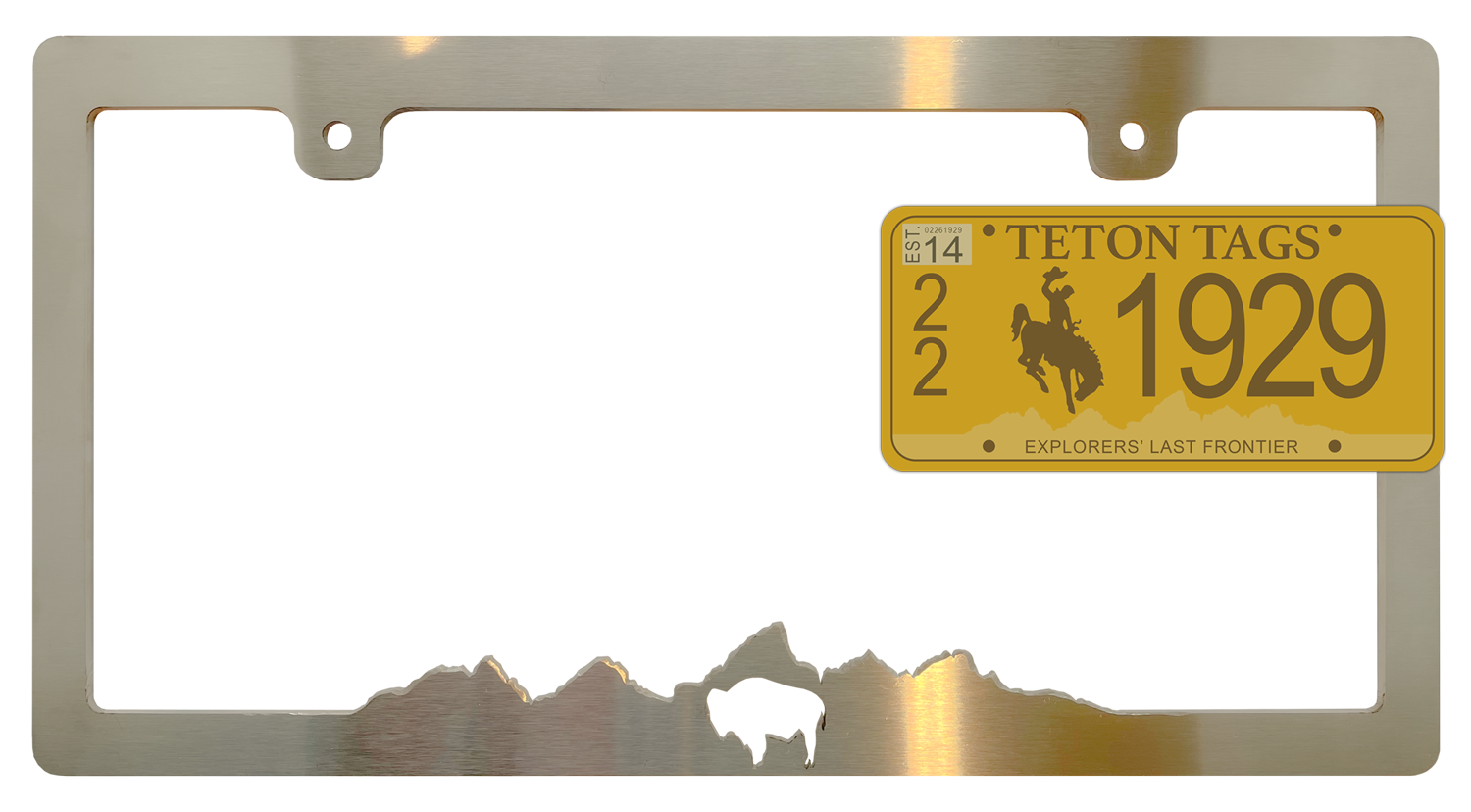 Teton License Plate Frame - Bison