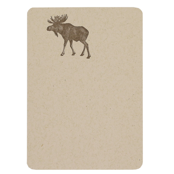 Moose Boxed Set of Notecards