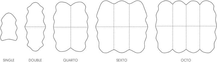 Sheepskin Rug - Sexto