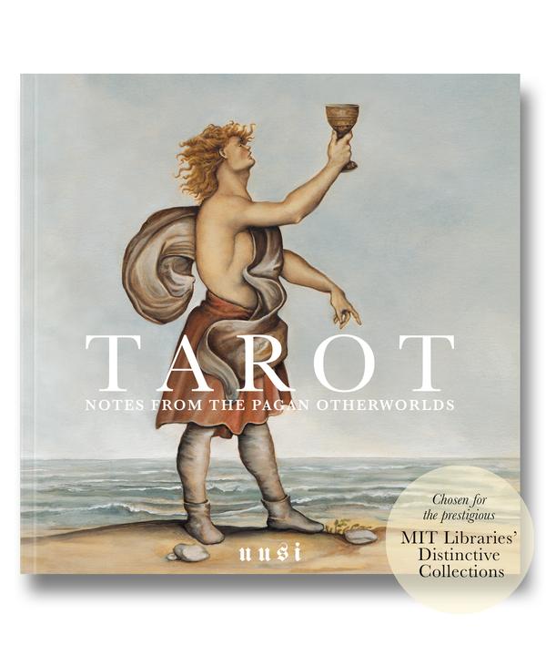 Notes From the Pagan Otherworlds Tarot Book